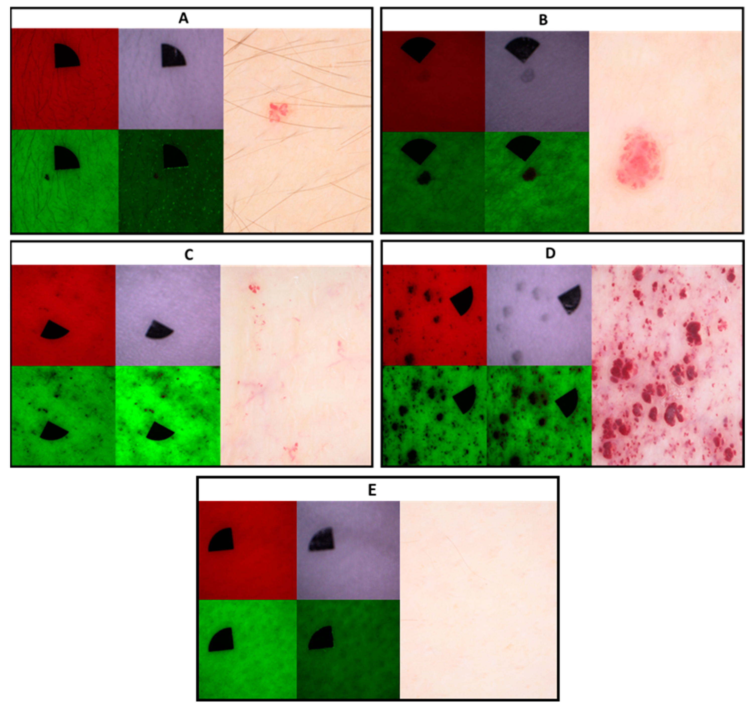 Diagnostics 13 02368 g007