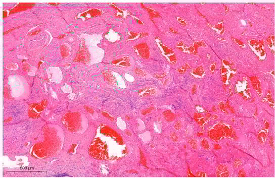 Diagnostics 13 02370 g003