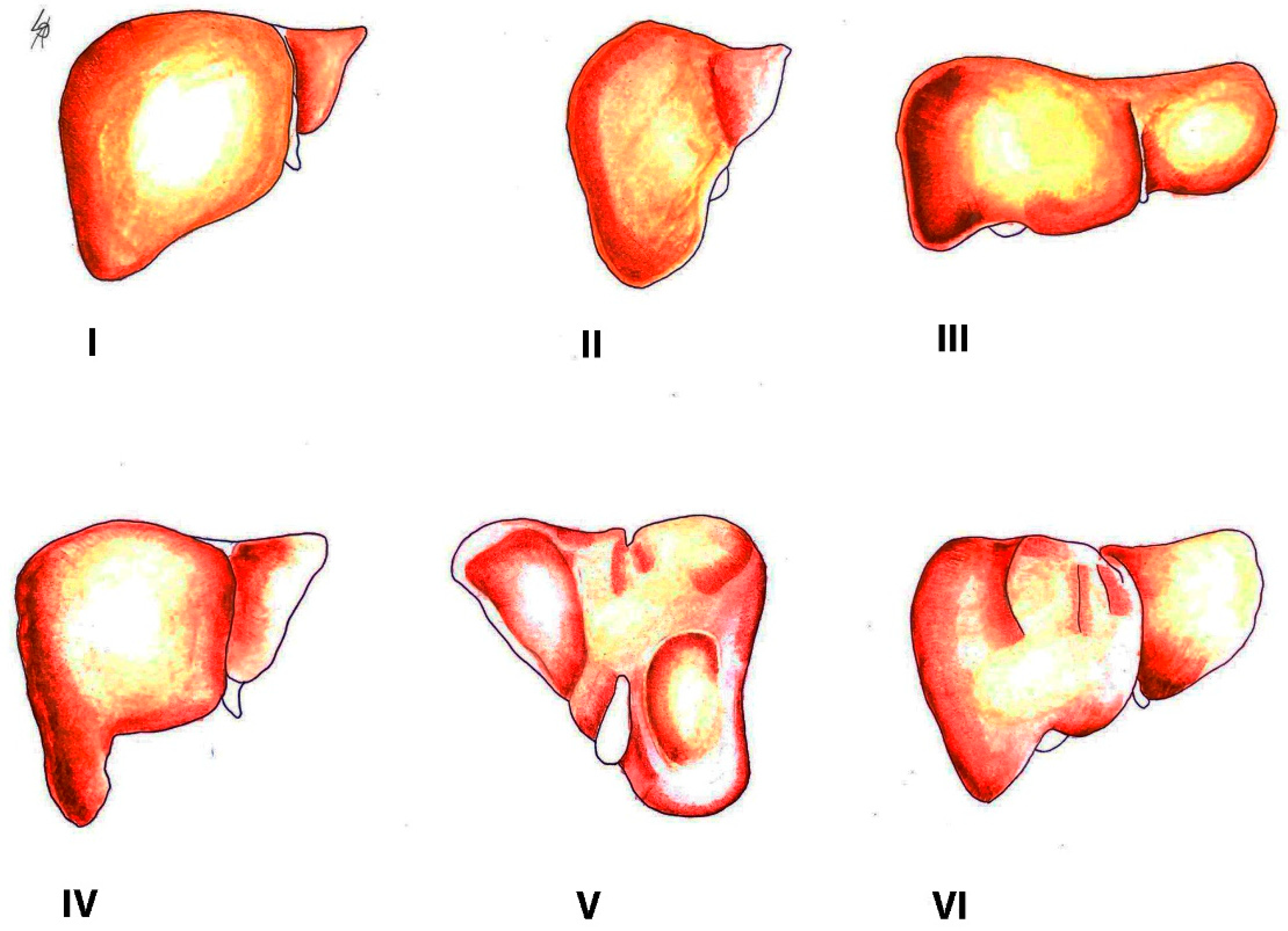 Diagnostics 13 02371 g002