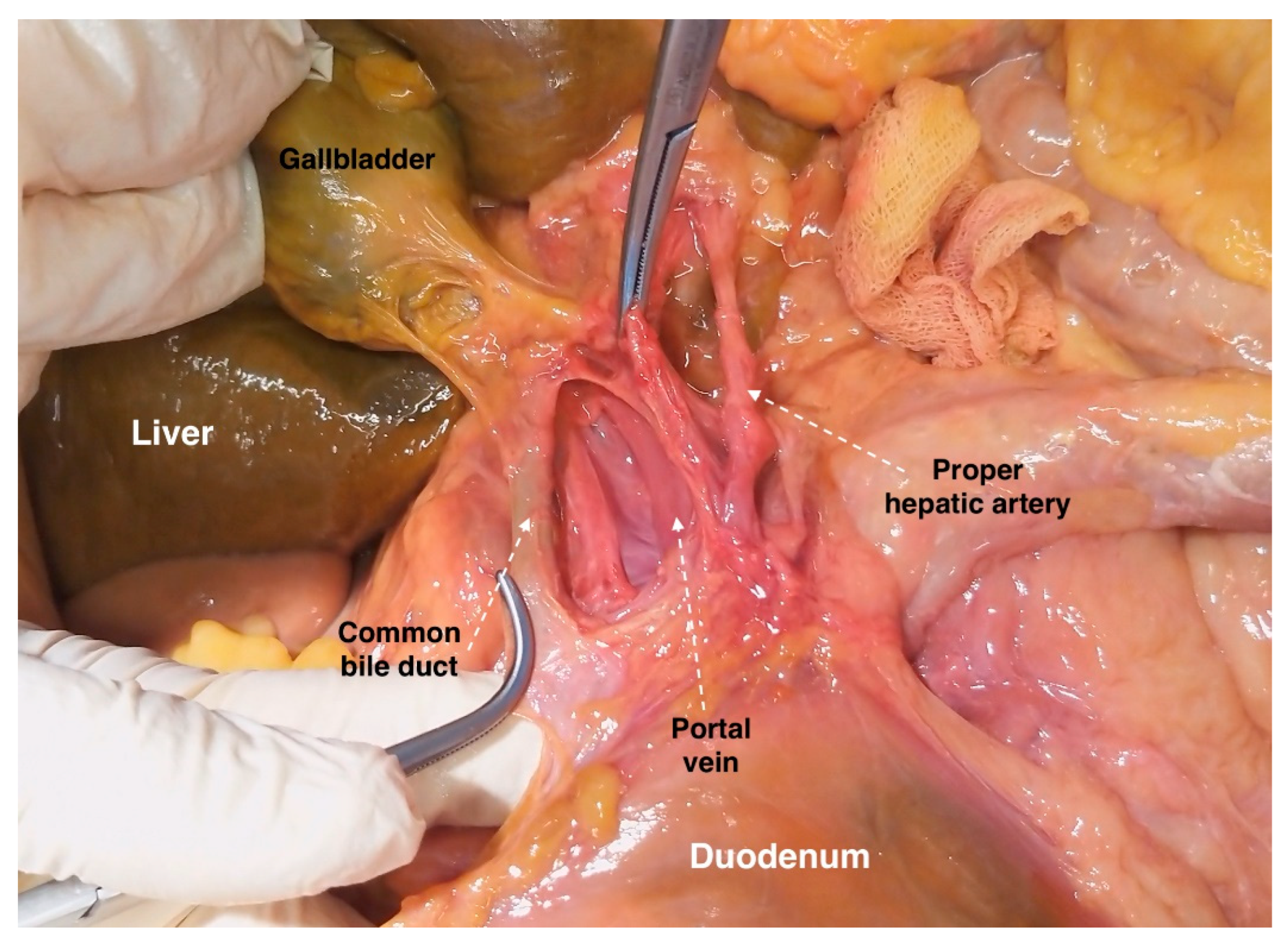 Diagnostics 13 02371 g014