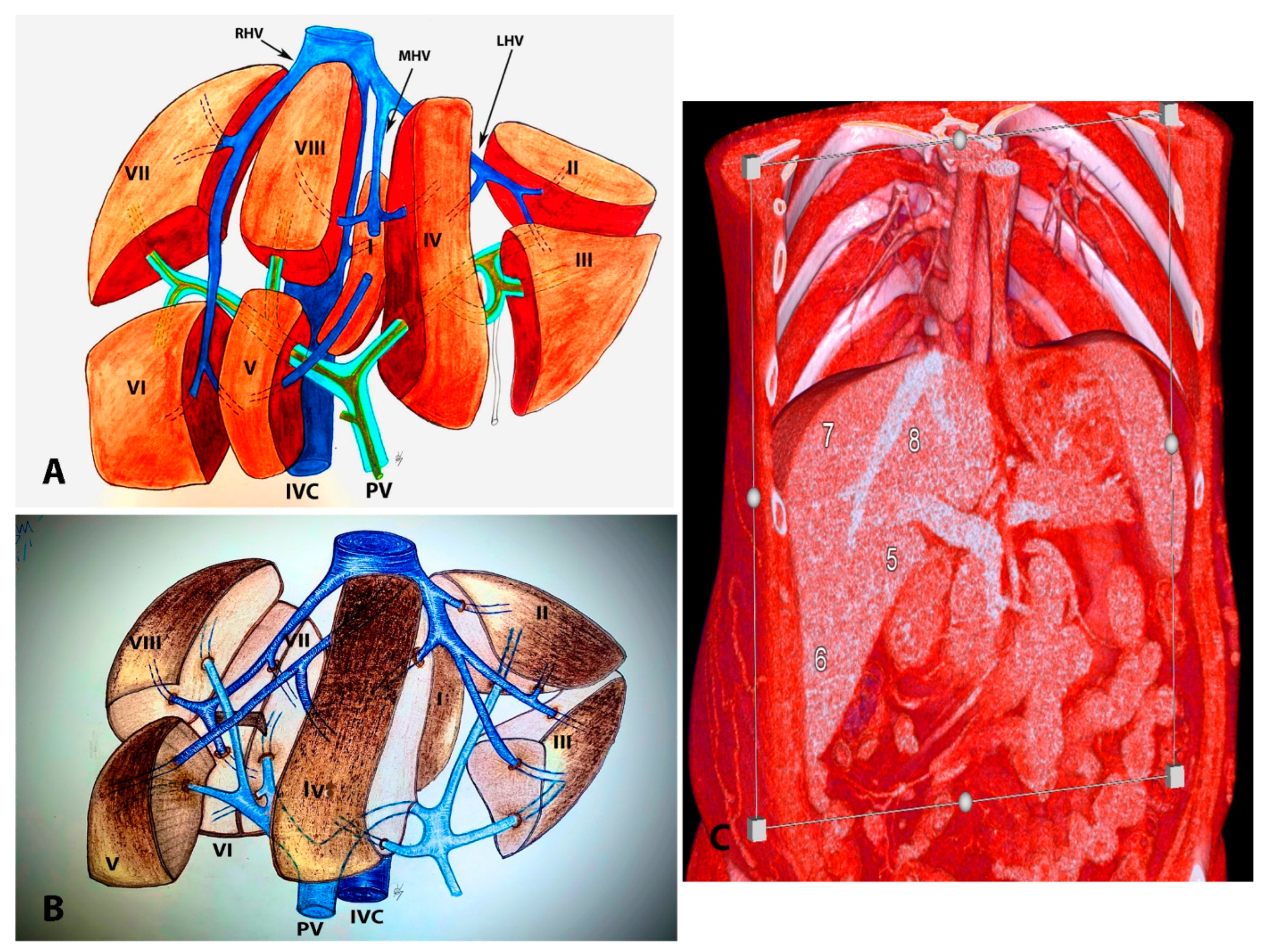 Diagnostics 13 02371 g015