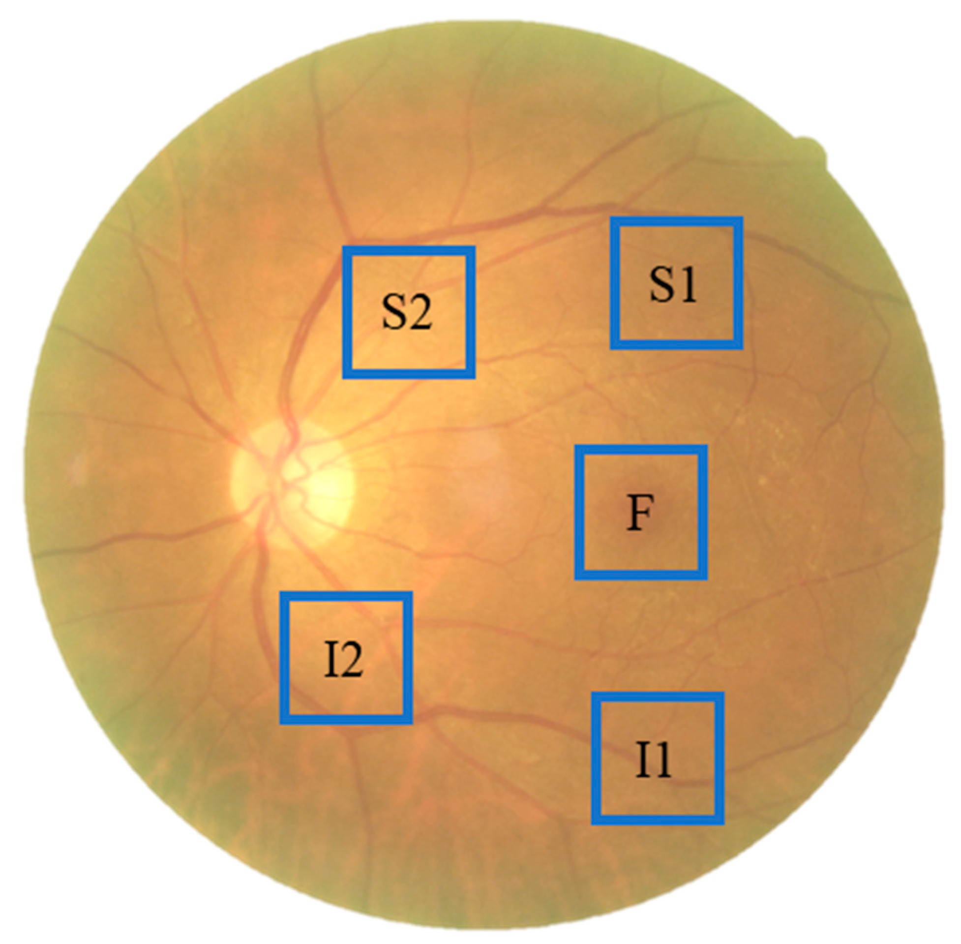 Diagnostics 13 02373 g003