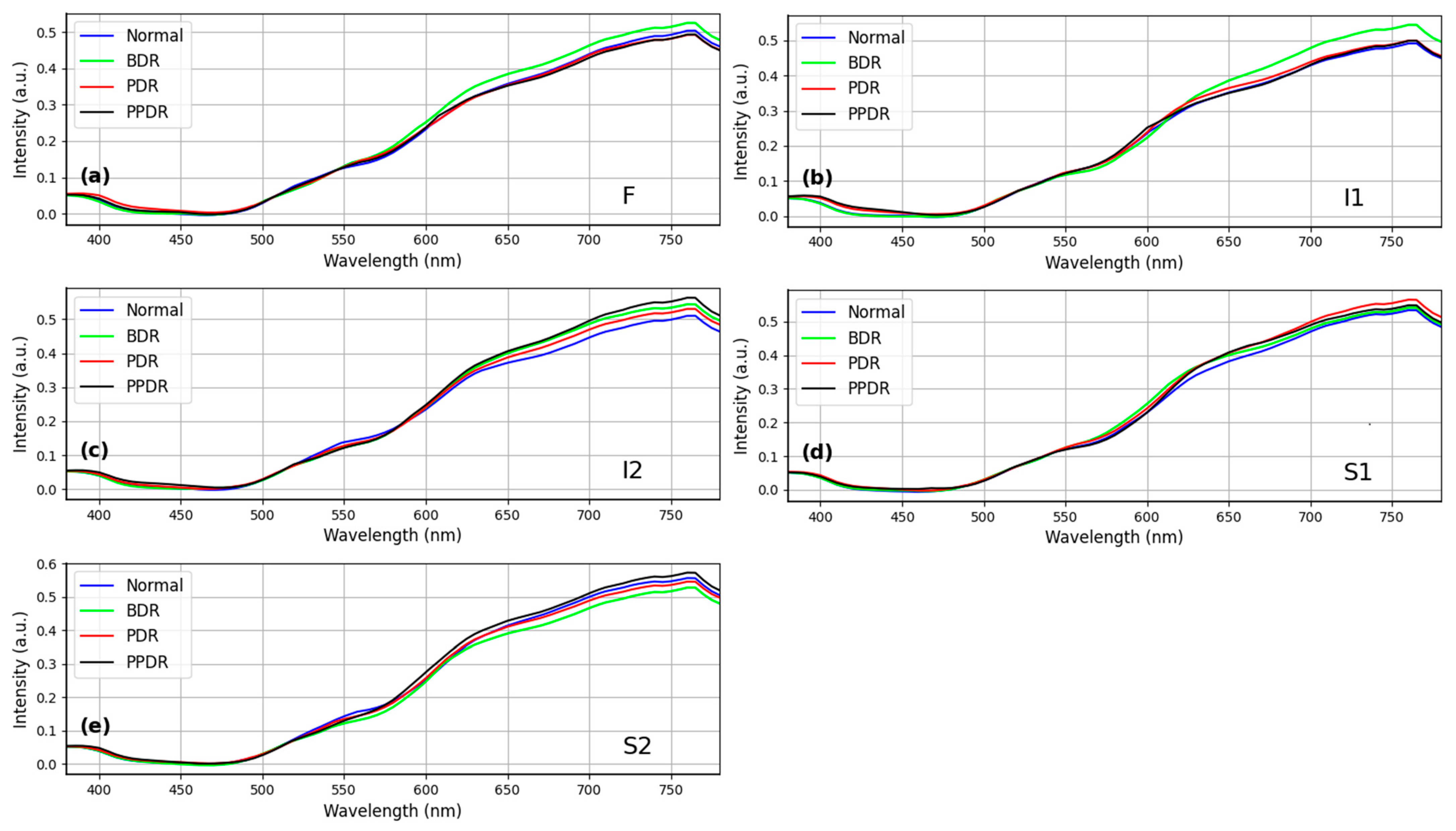 Diagnostics 13 02373 g006