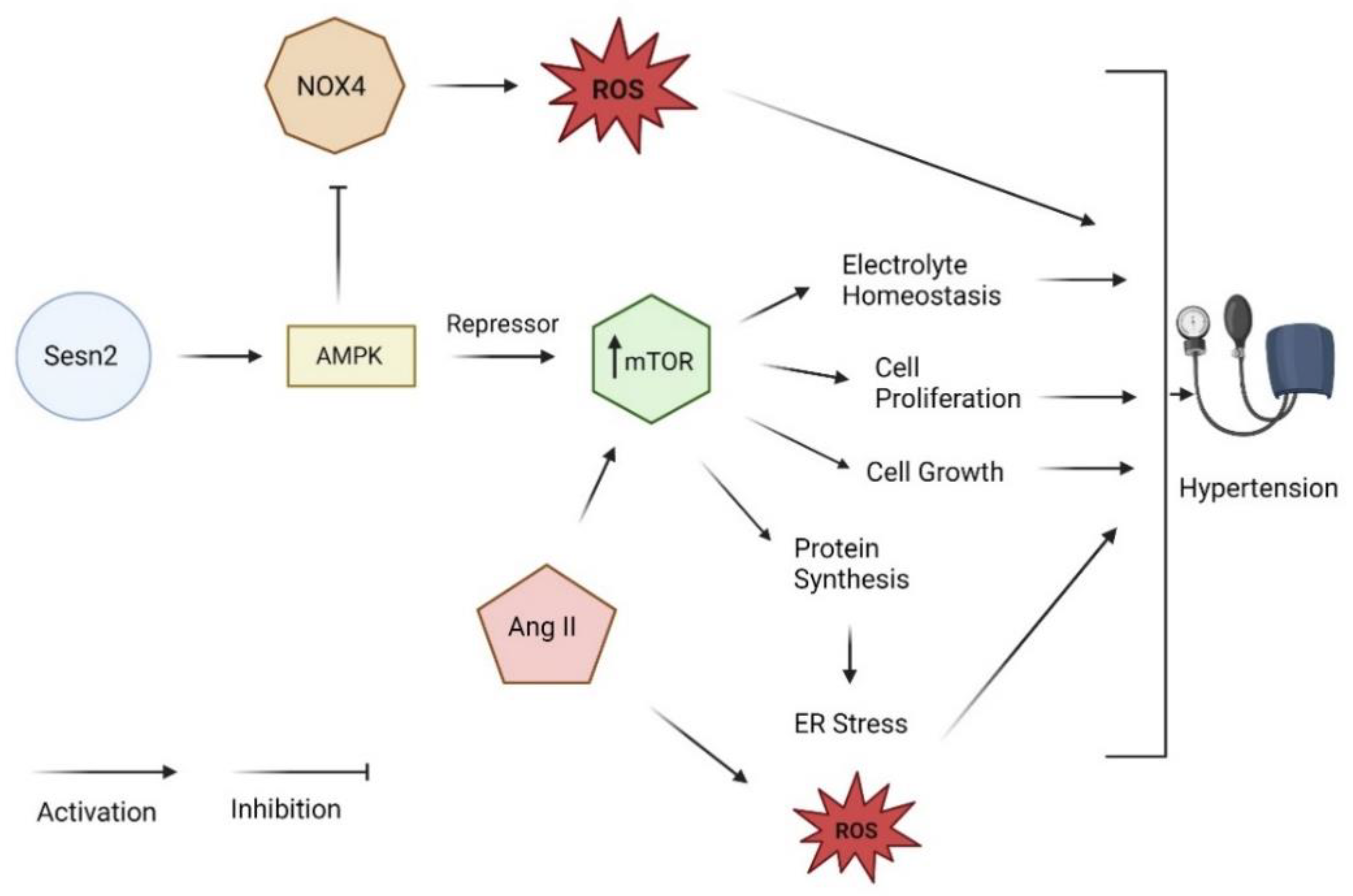 Diagnostics 13 02374 g004