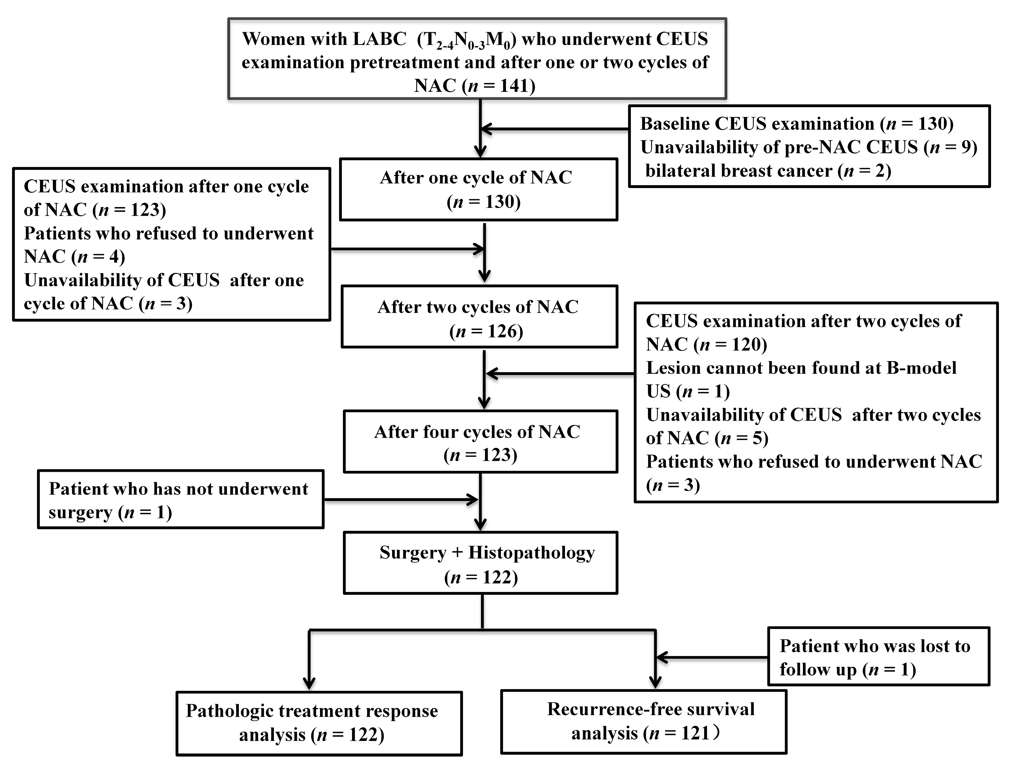 Diagnostics 13 02378 g001