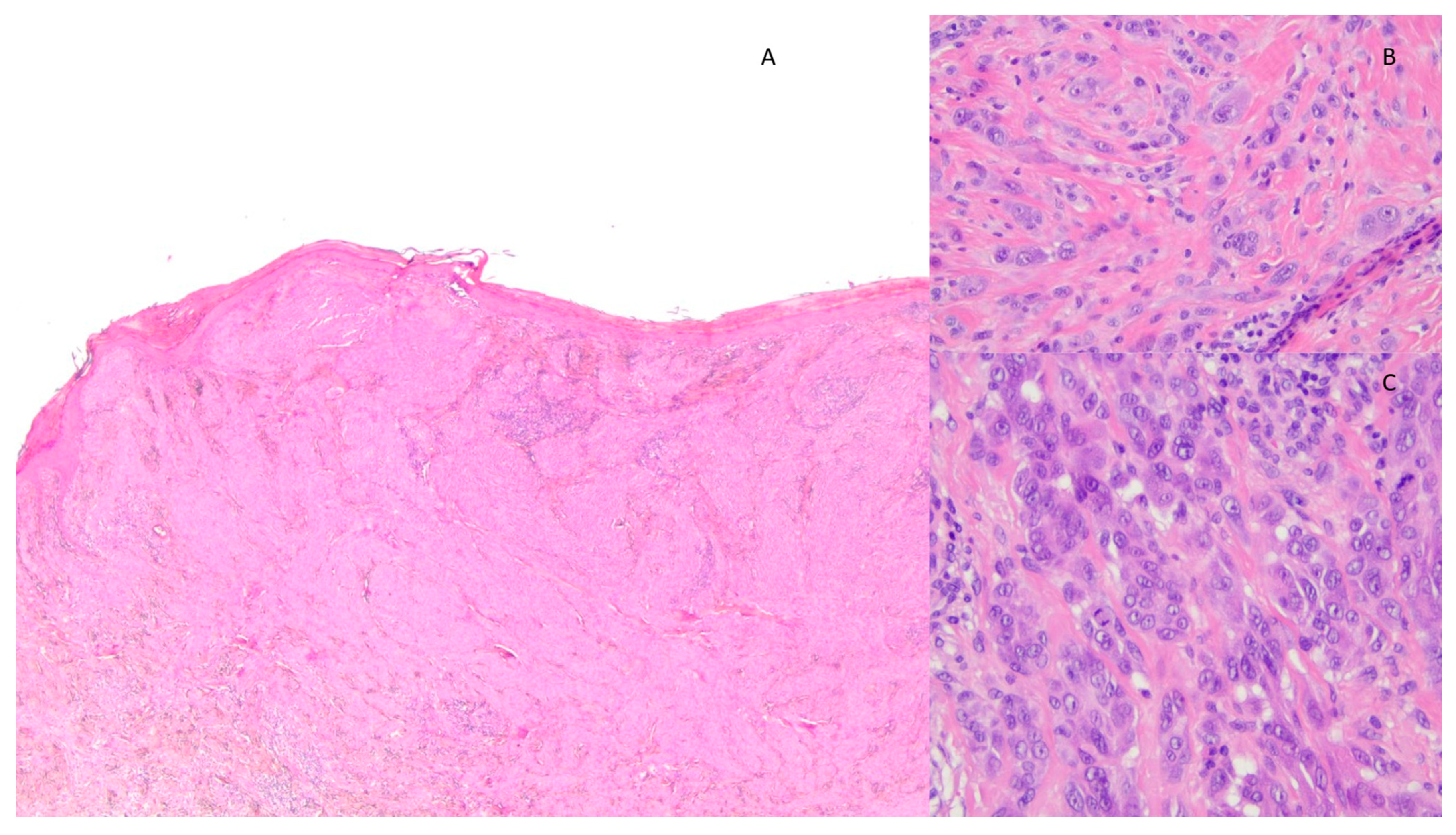 Diagnostics 13 02380 g002