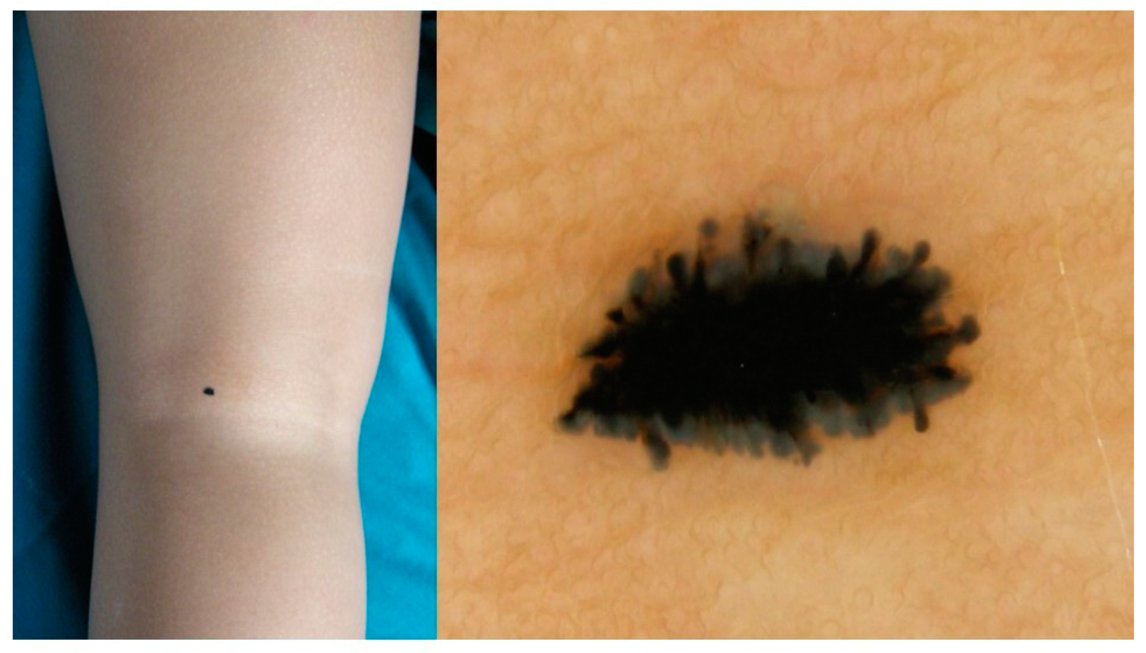 Diagnostics 13 02380 g003