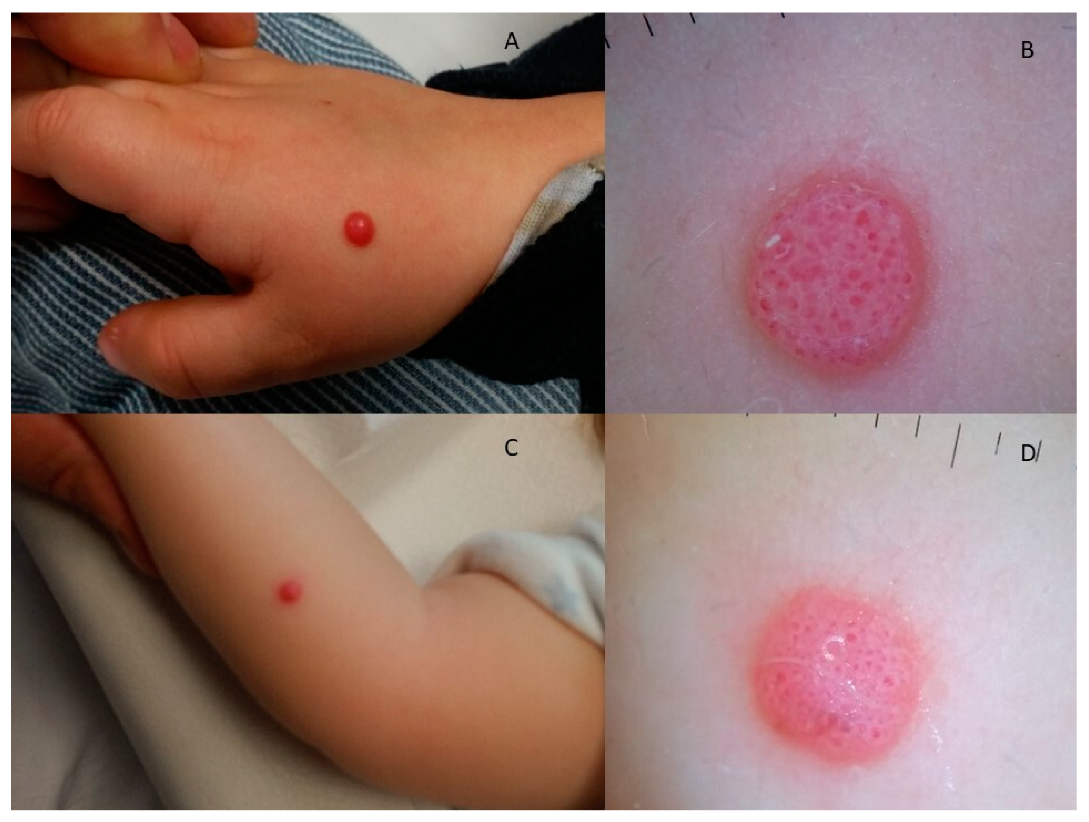 Diagnostics 13 02380 g005