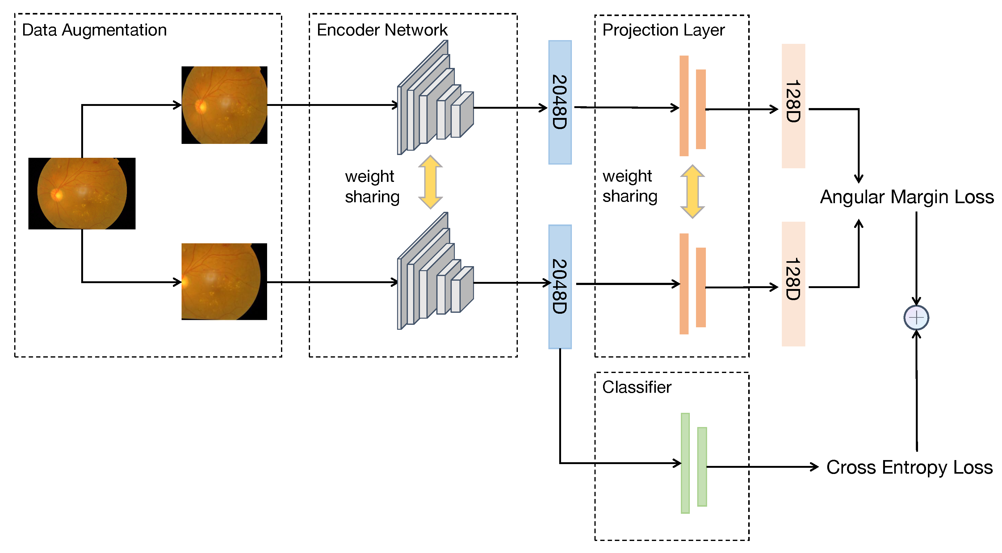 Diagnostics 13 02389 g002