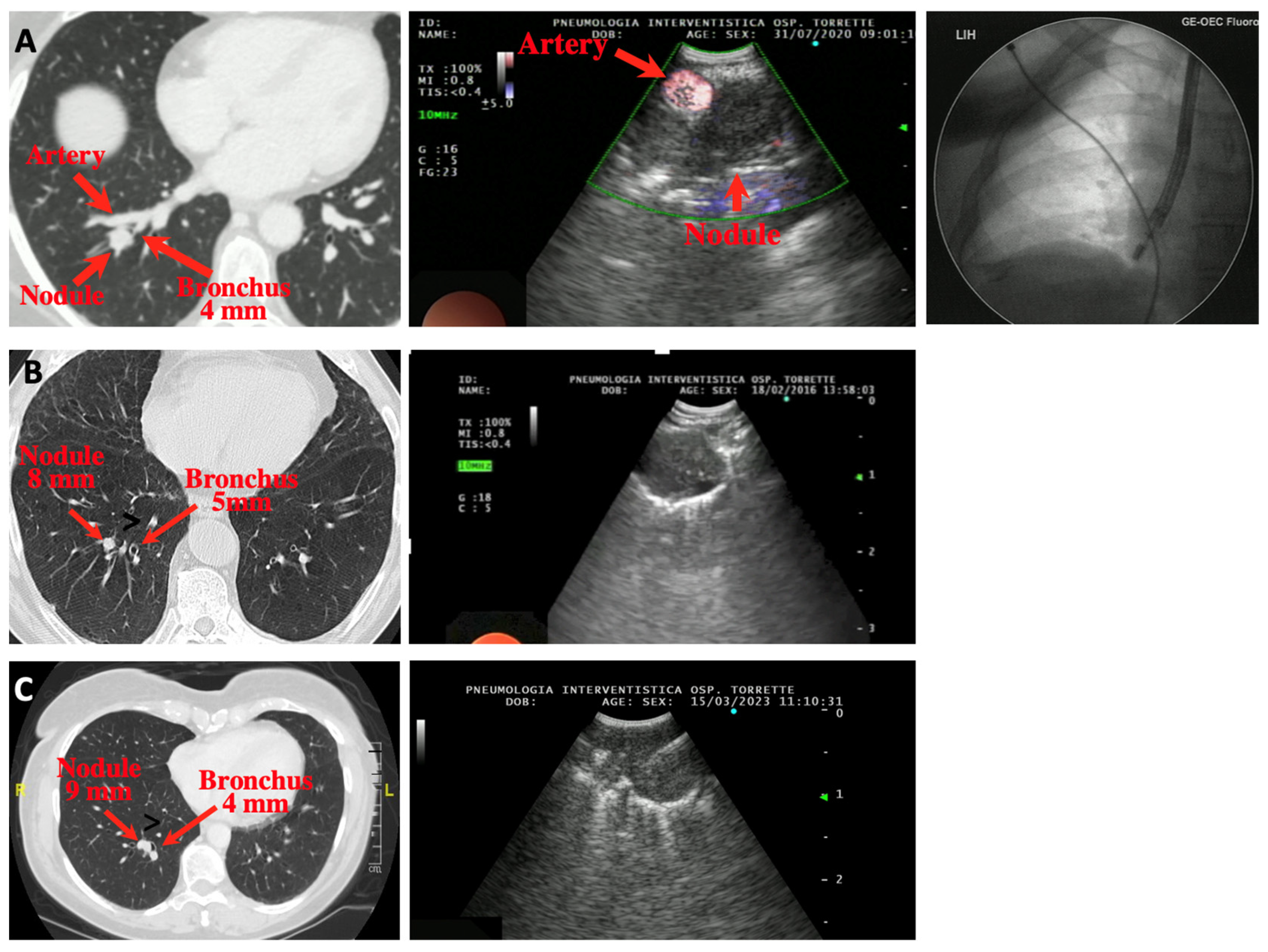 Diagnostics 13 02393 g002