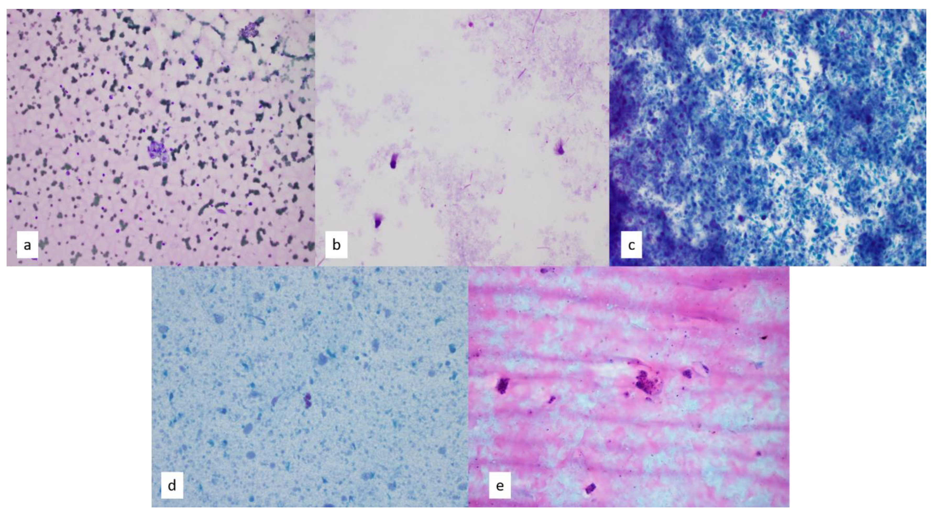 Diagnostics 13 02400 g002
