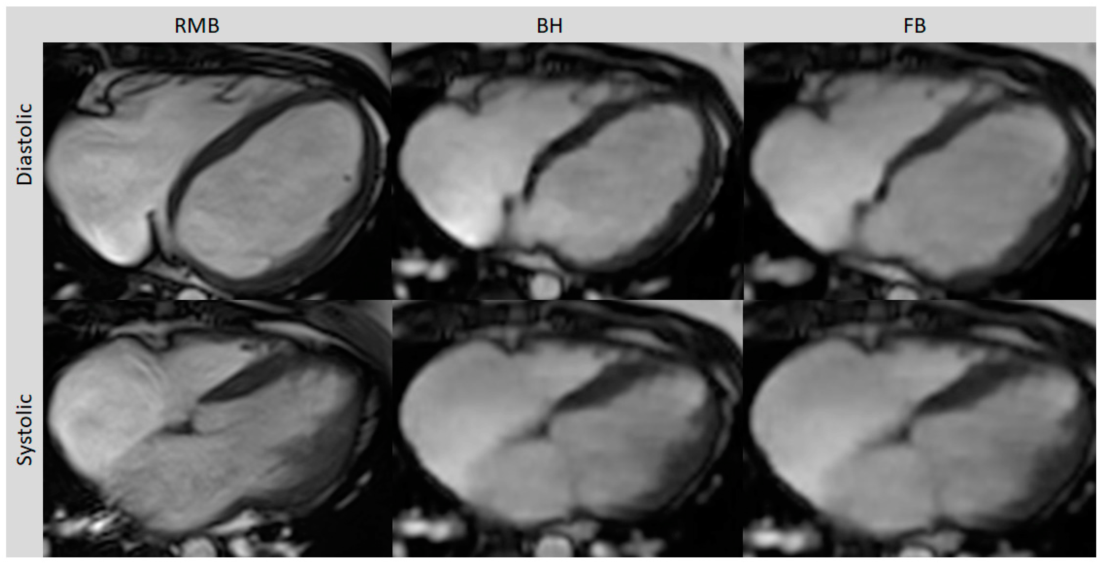 Diagnostics 13 02403 g001