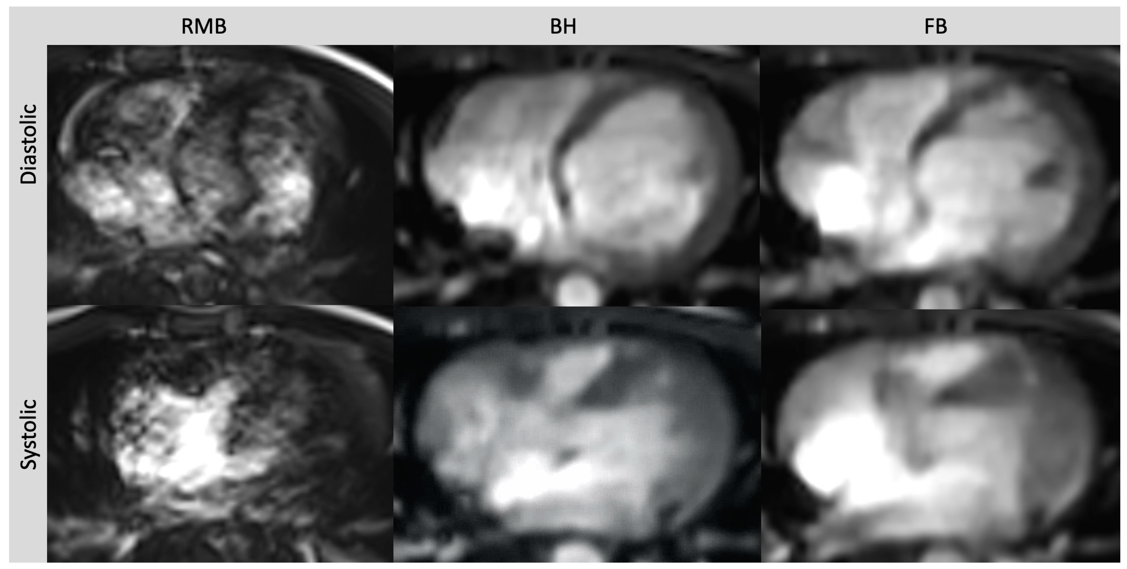 Diagnostics 13 02403 g002