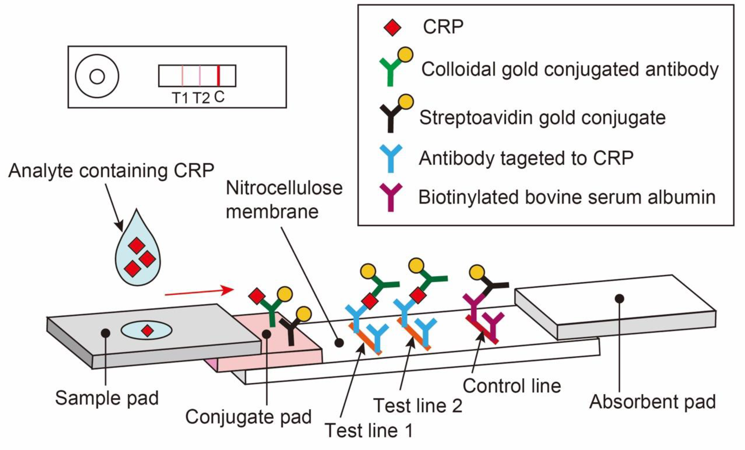 Diagnostics 13 02407 g001