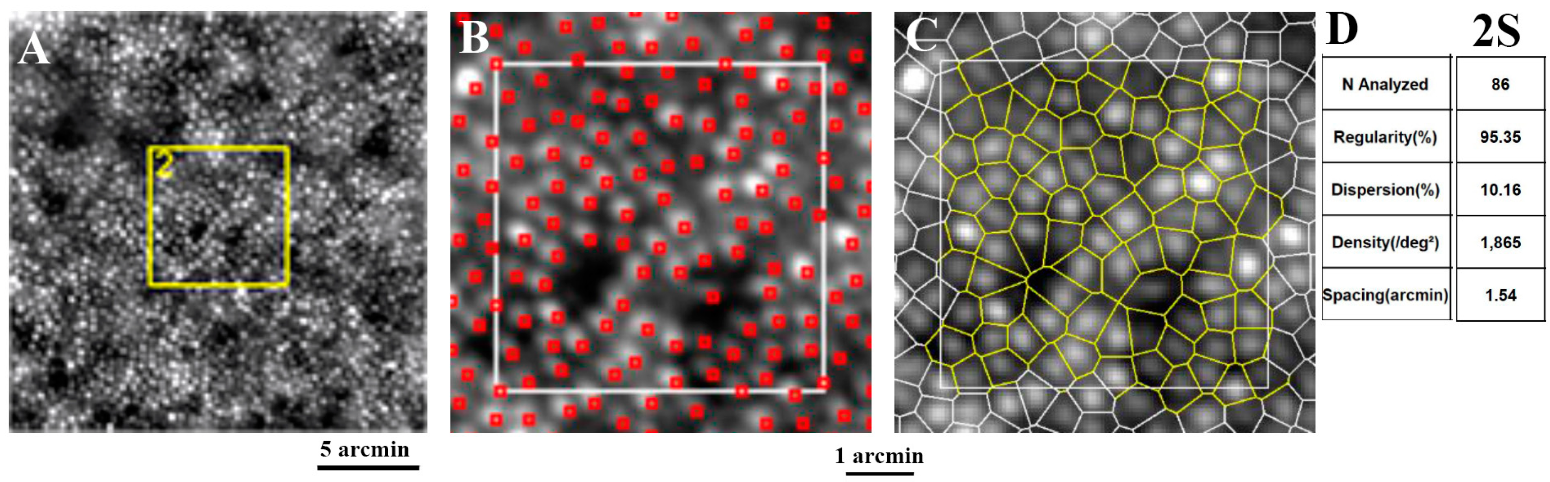 Diagnostics 13 02413 g004 Diagnostics 13 02413 g004