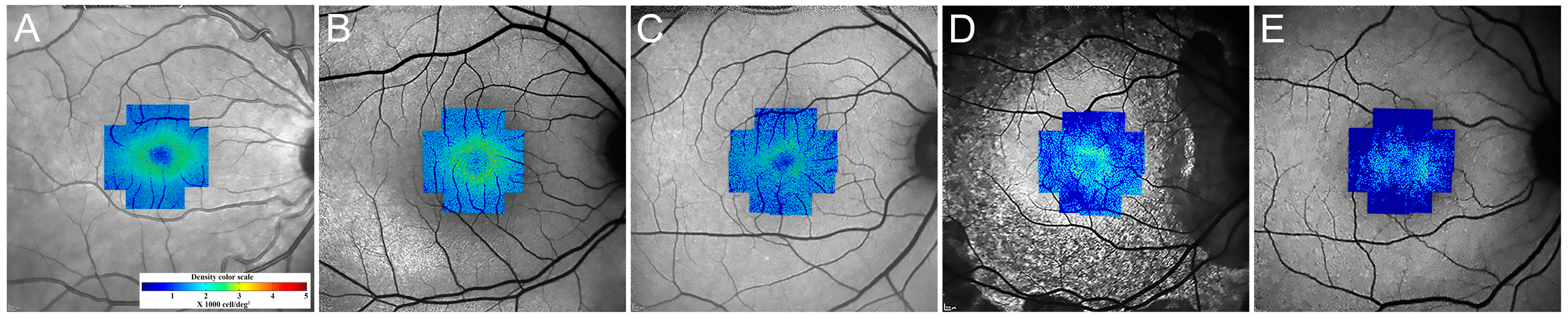 Diagnostics 13 02413 g007 Diagnostics 13 02413 g007