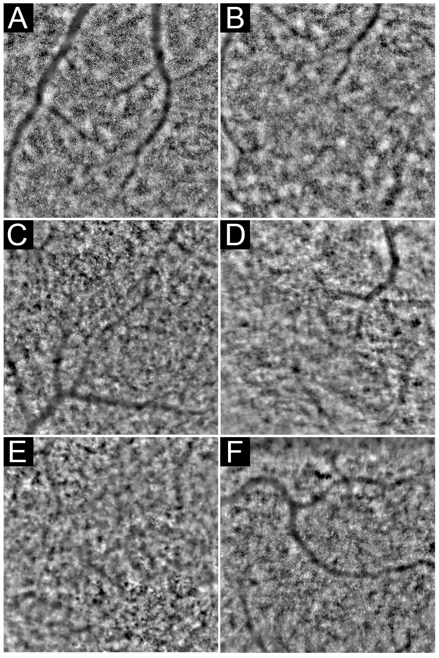 Diagnostics 13 02413 g008 Diagnostics 13 02413 g008