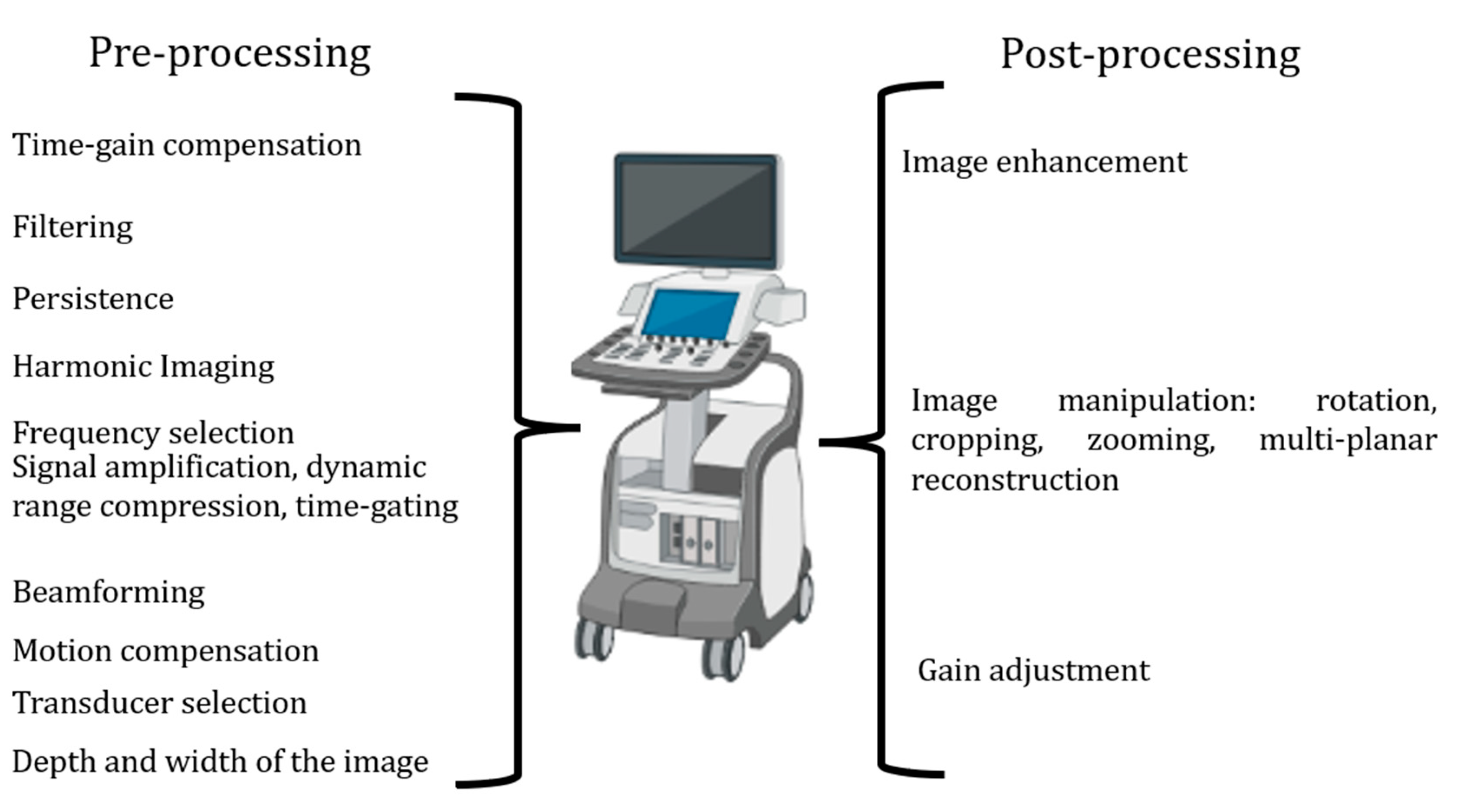Diagnostics 13 02414 g001
