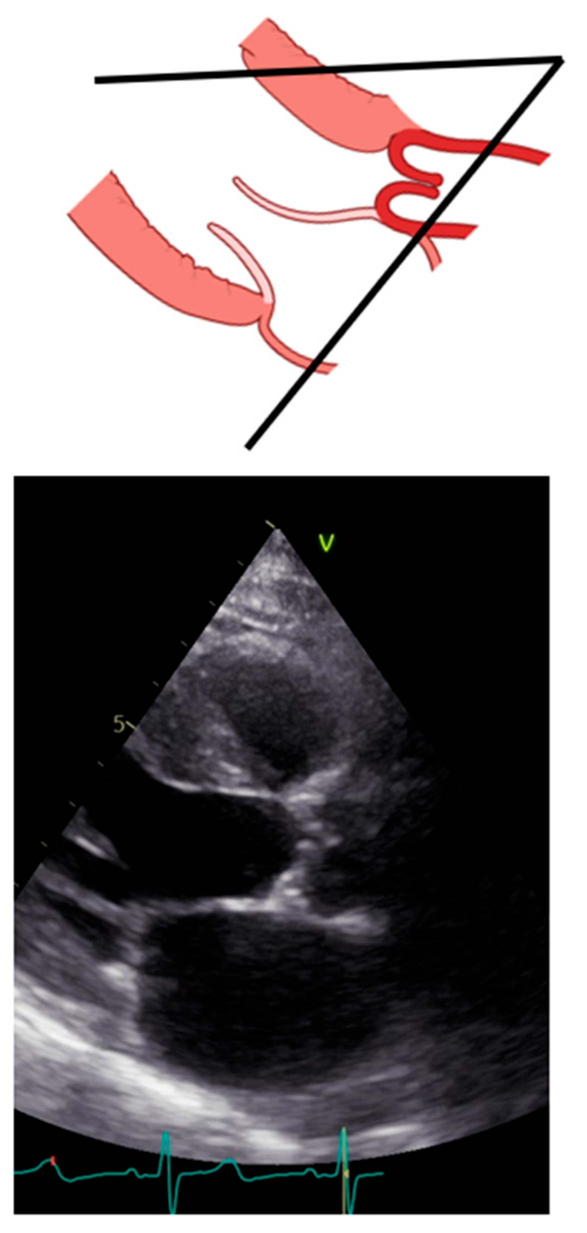 Diagnostics 13 02414 g002
