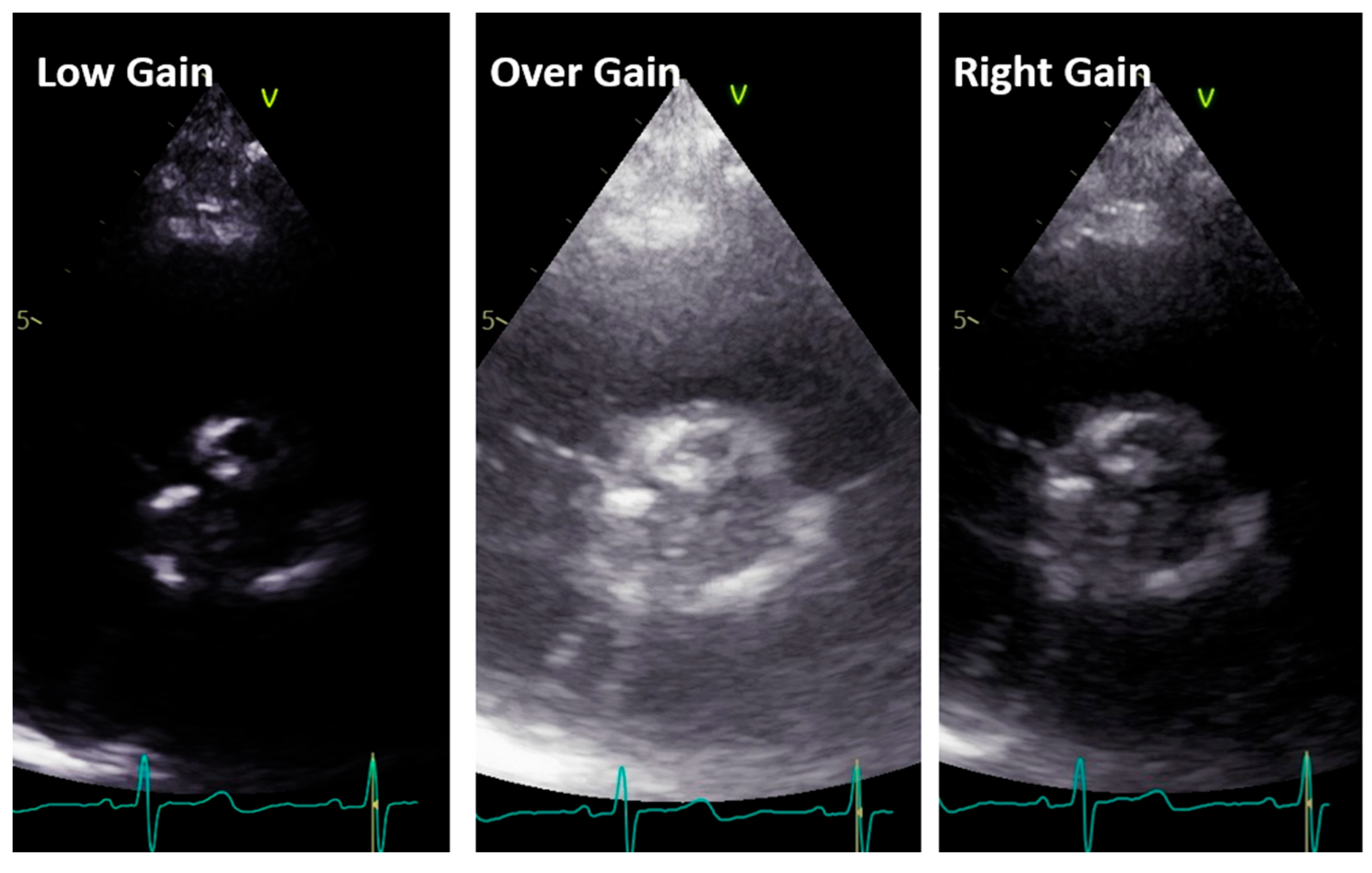 Diagnostics 13 02414 g006