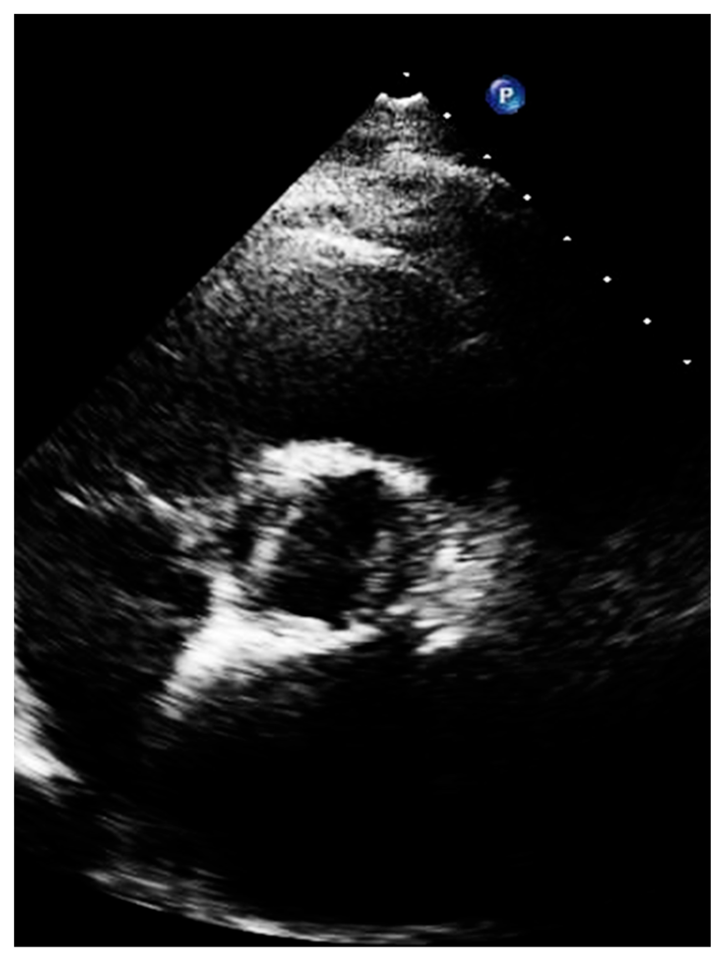 Diagnostics 13 02414 g007