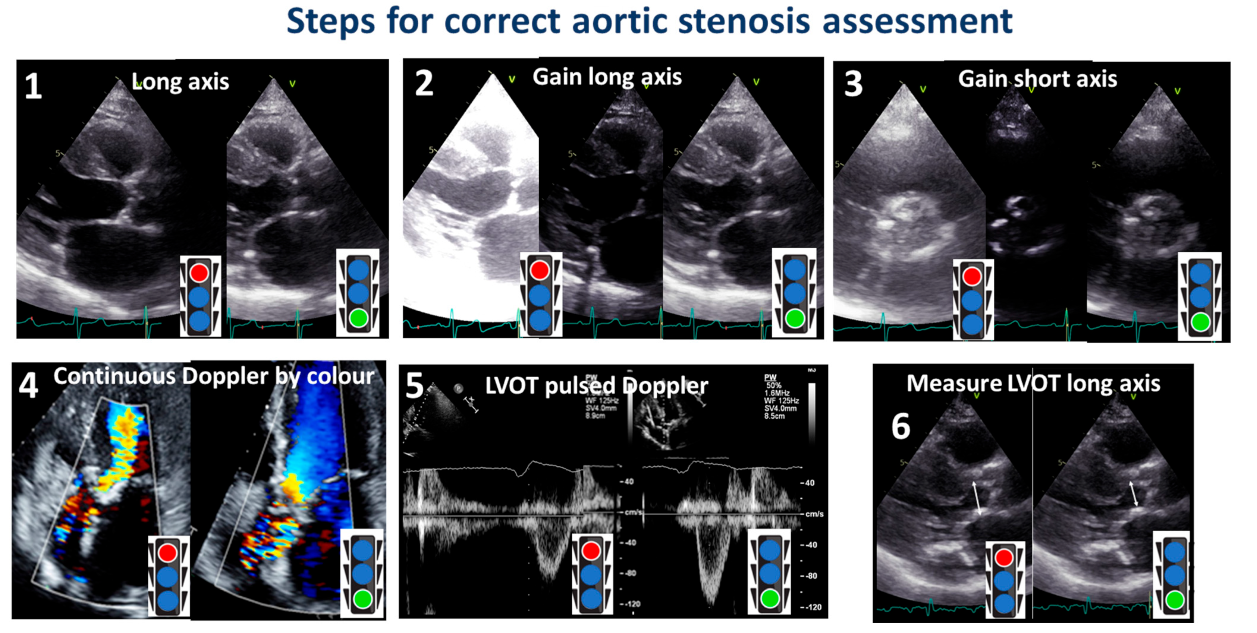 Diagnostics 13 02414 g010