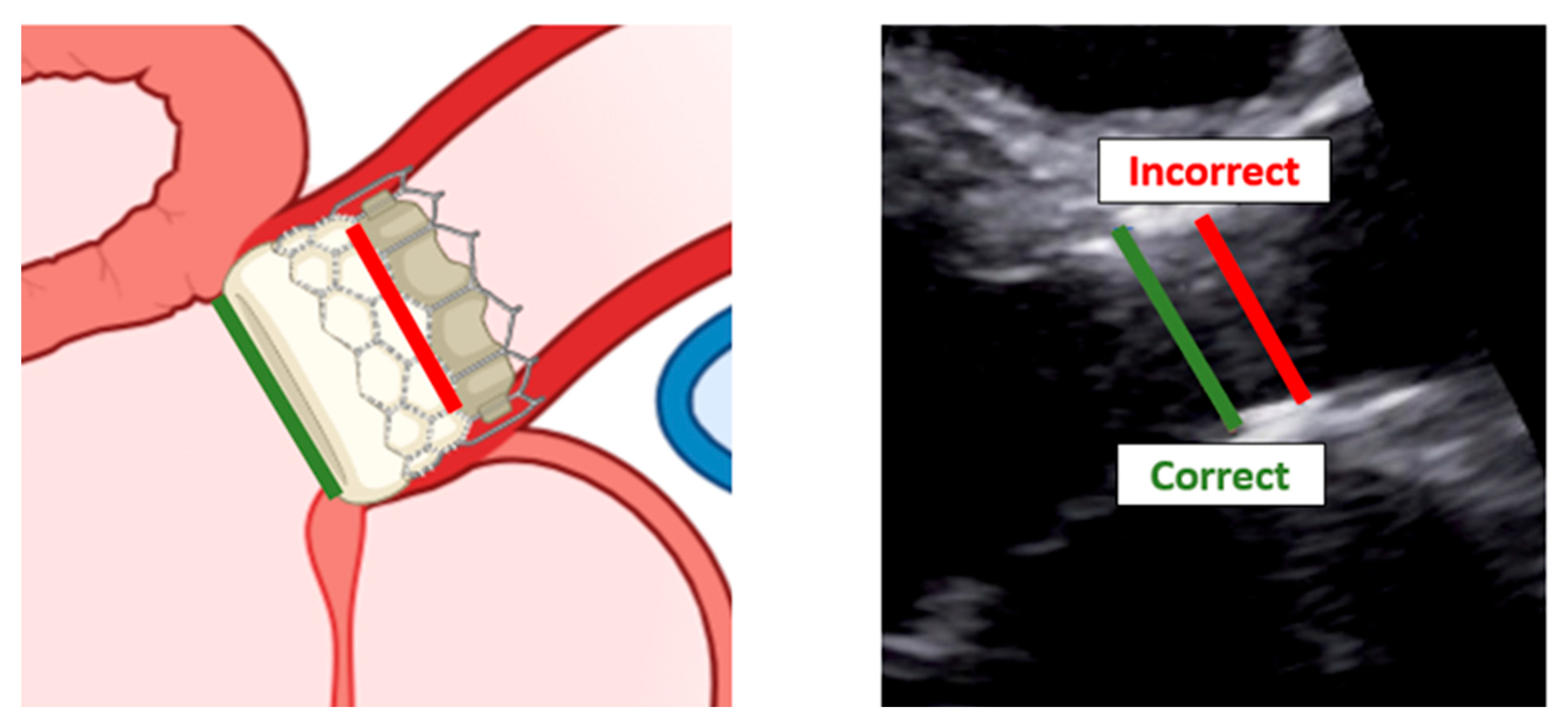 Diagnostics 13 02414 g011