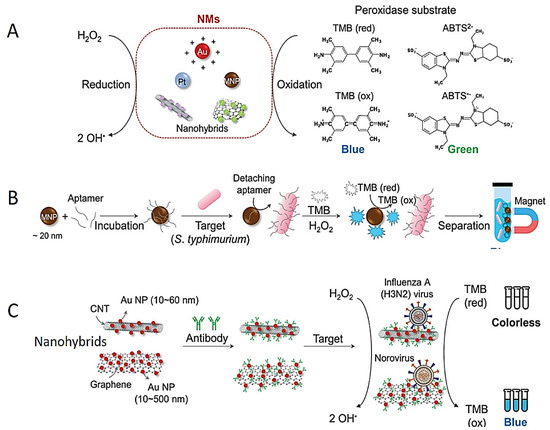 Diagnostics 13 02427 g002