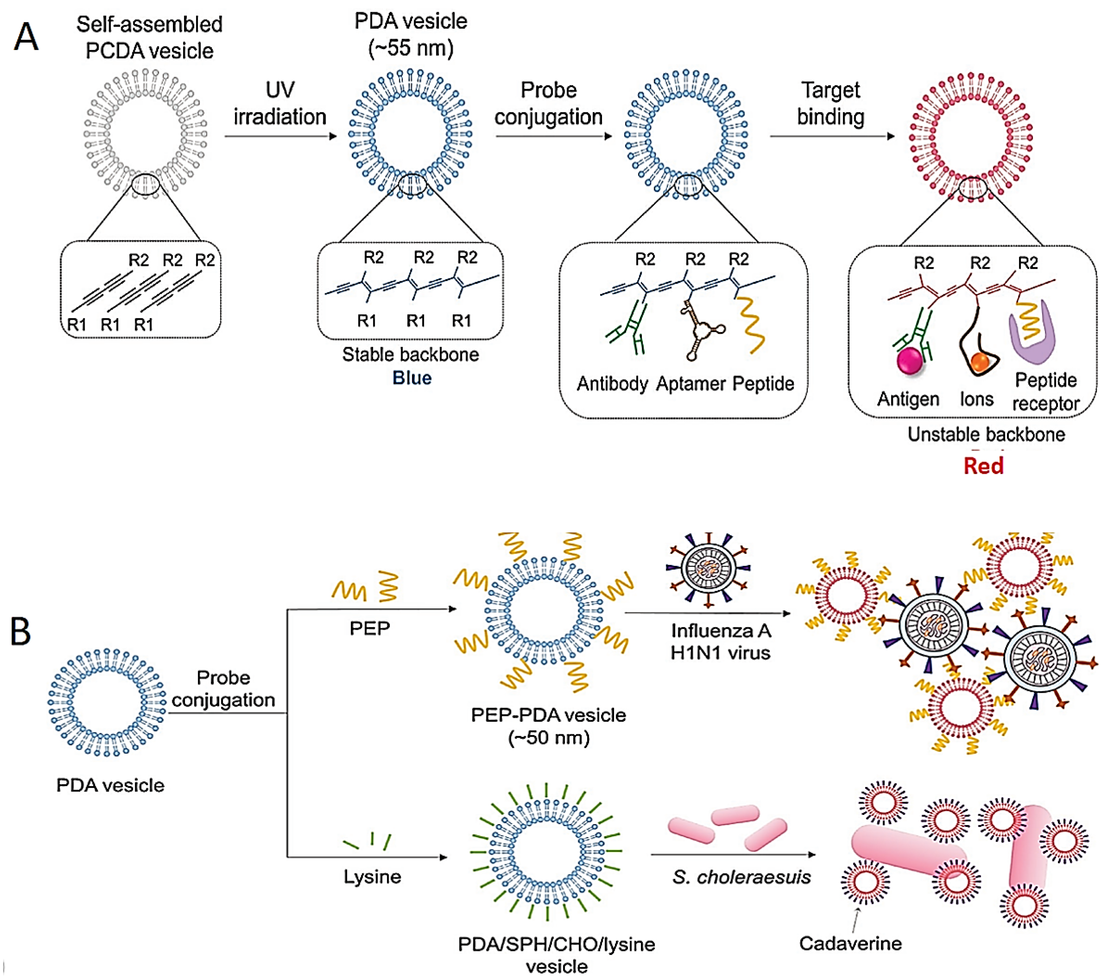 Diagnostics 13 02427 g004