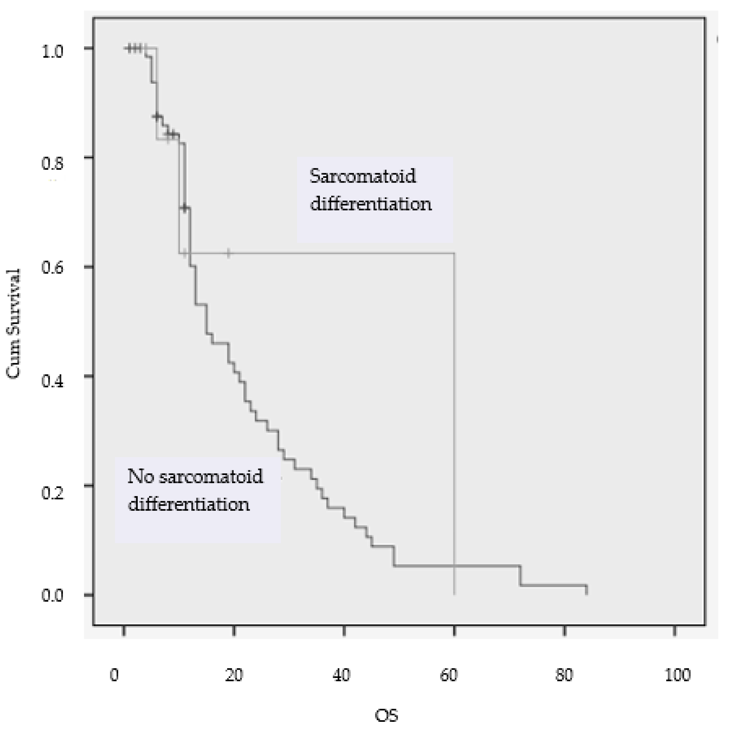 Diagnostics 13 02430 g007