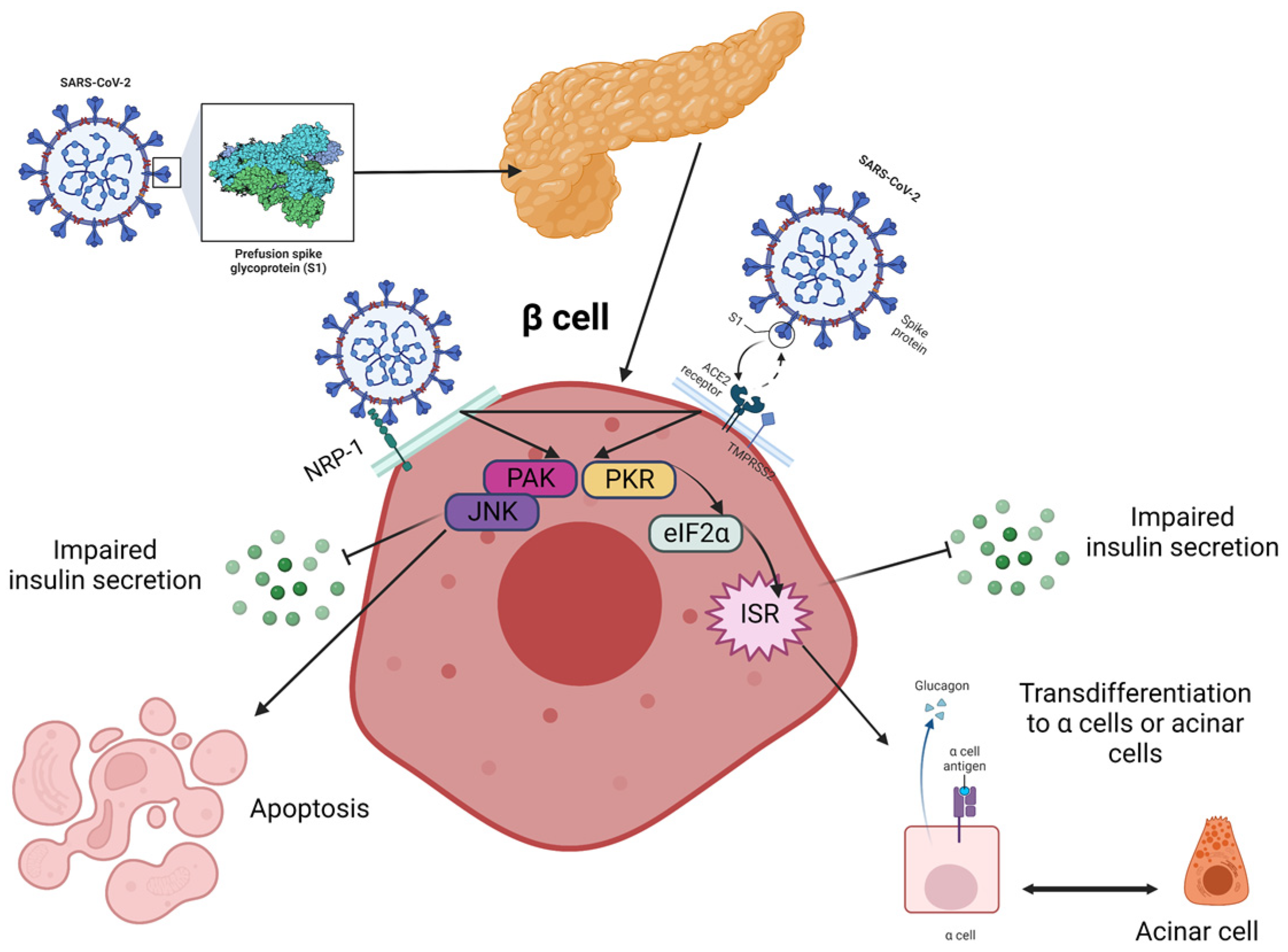 Diagnostics 13 02436 g001