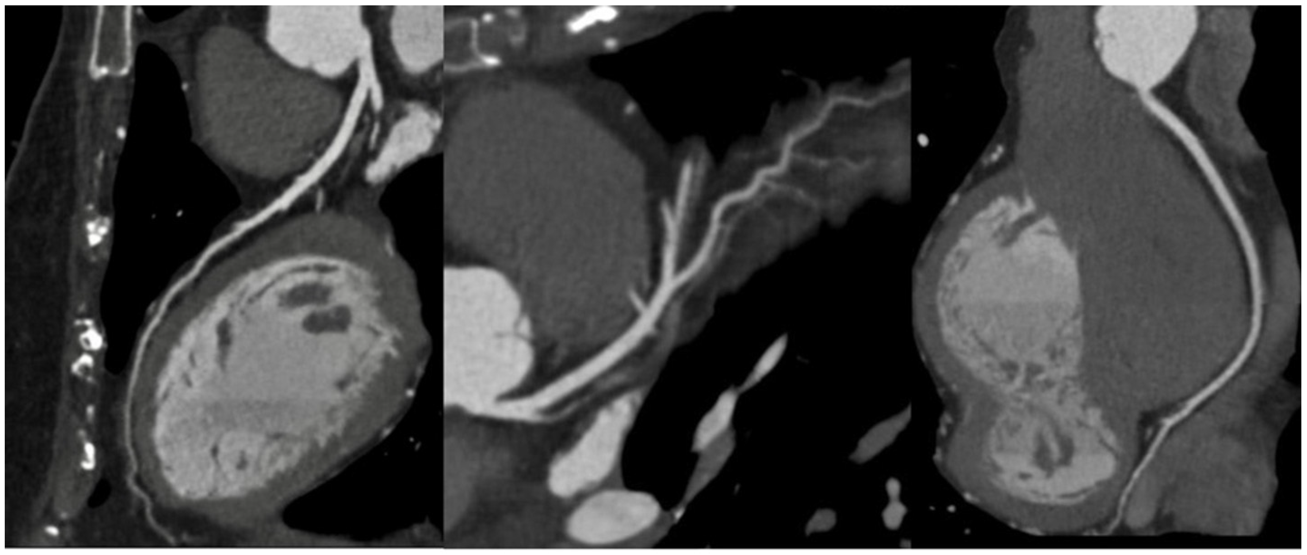 Diagnostics 13 02439 g002