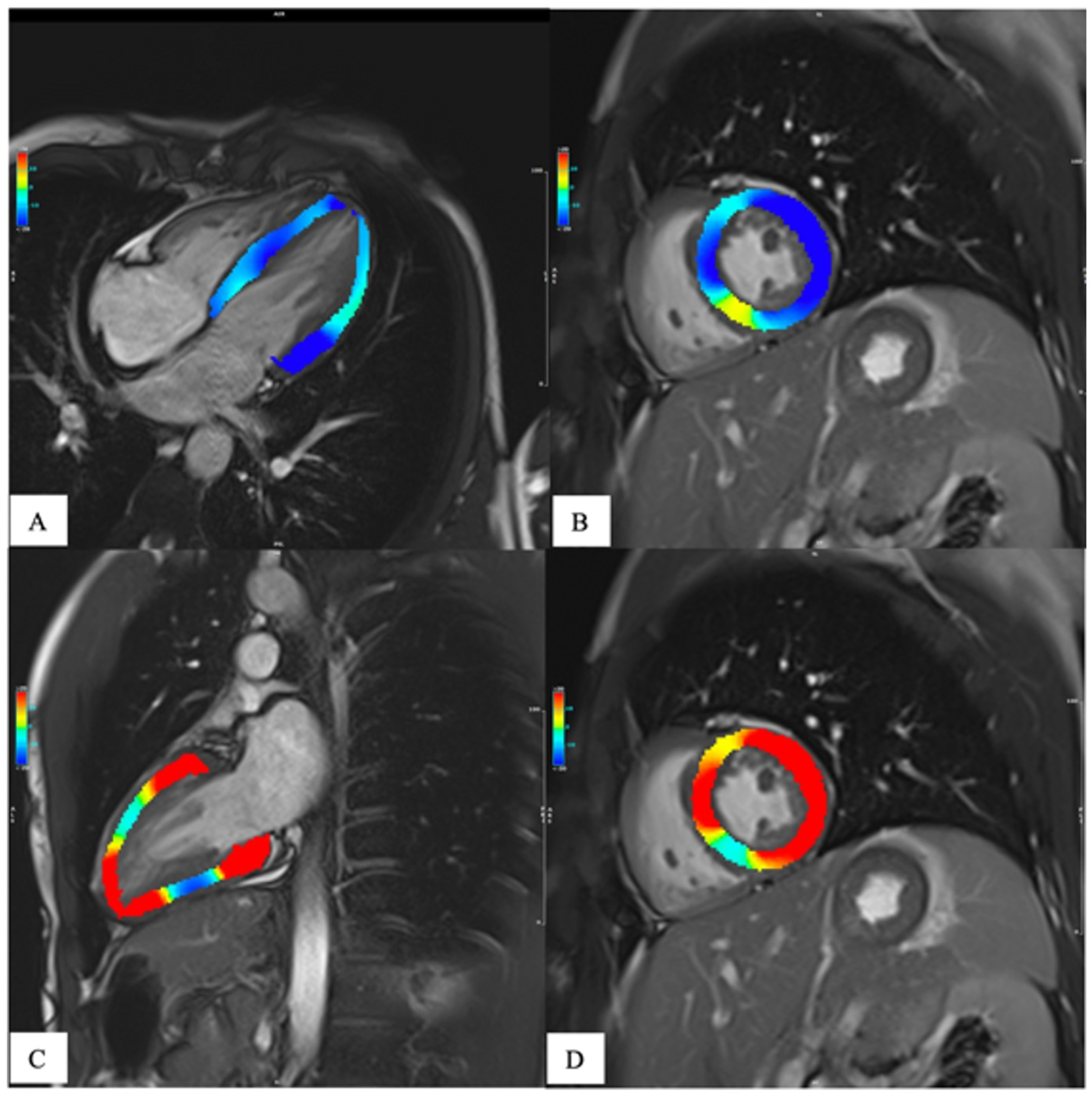 Diagnostics 13 02439 g004
