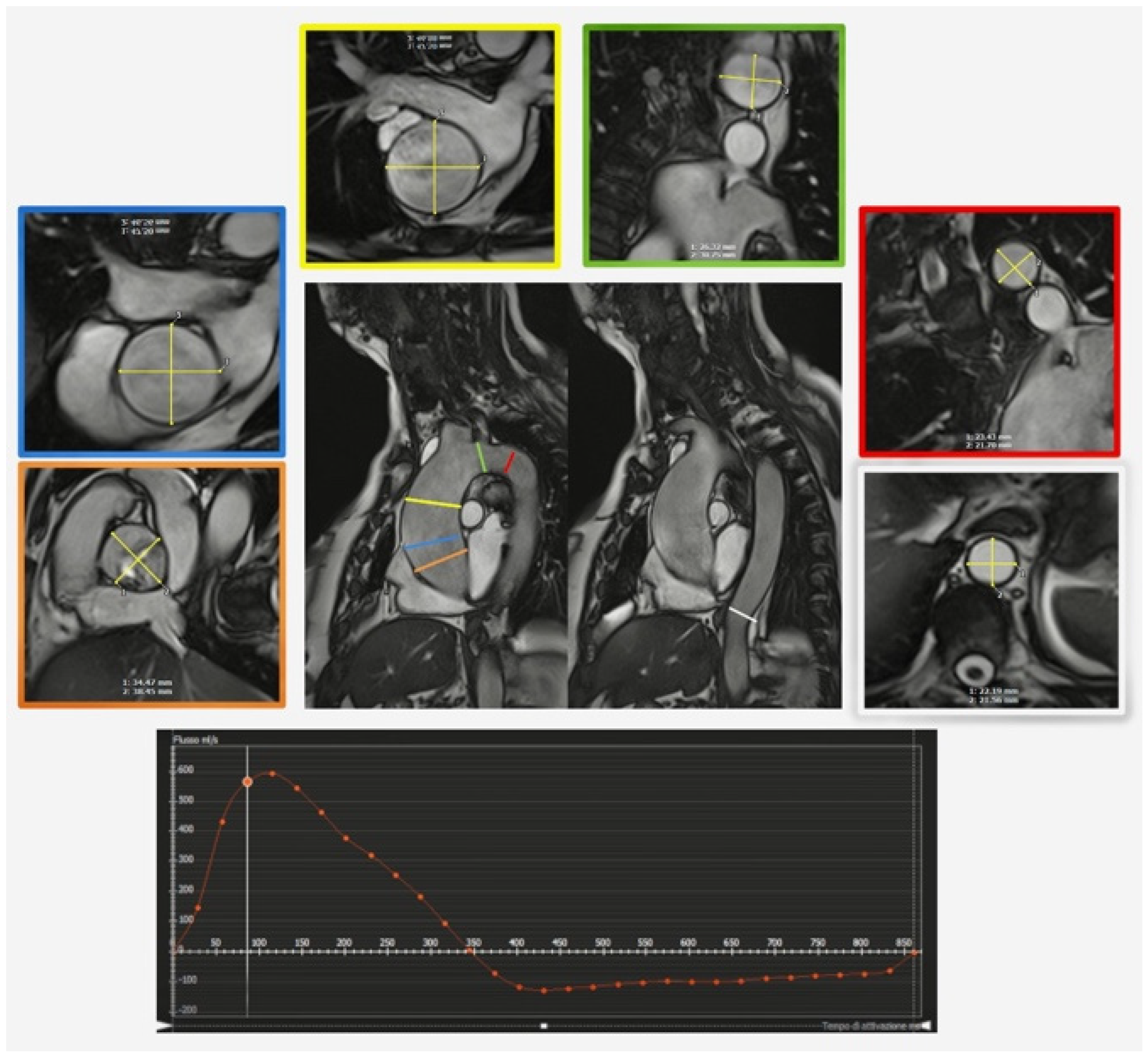 Diagnostics 13 02439 g006