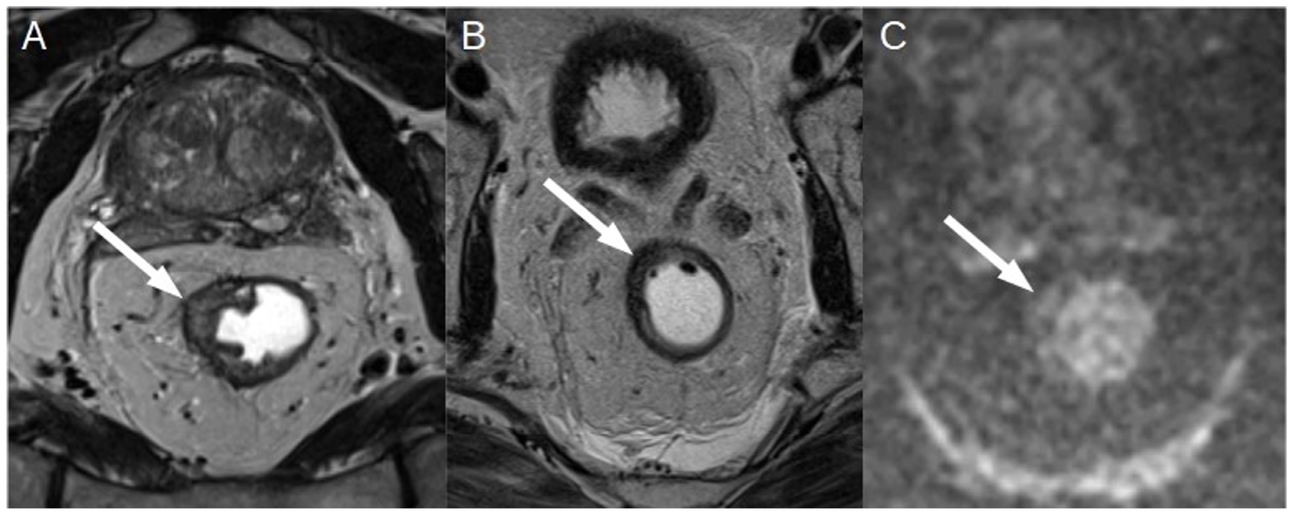 Diagnostics 13 02439 g007
