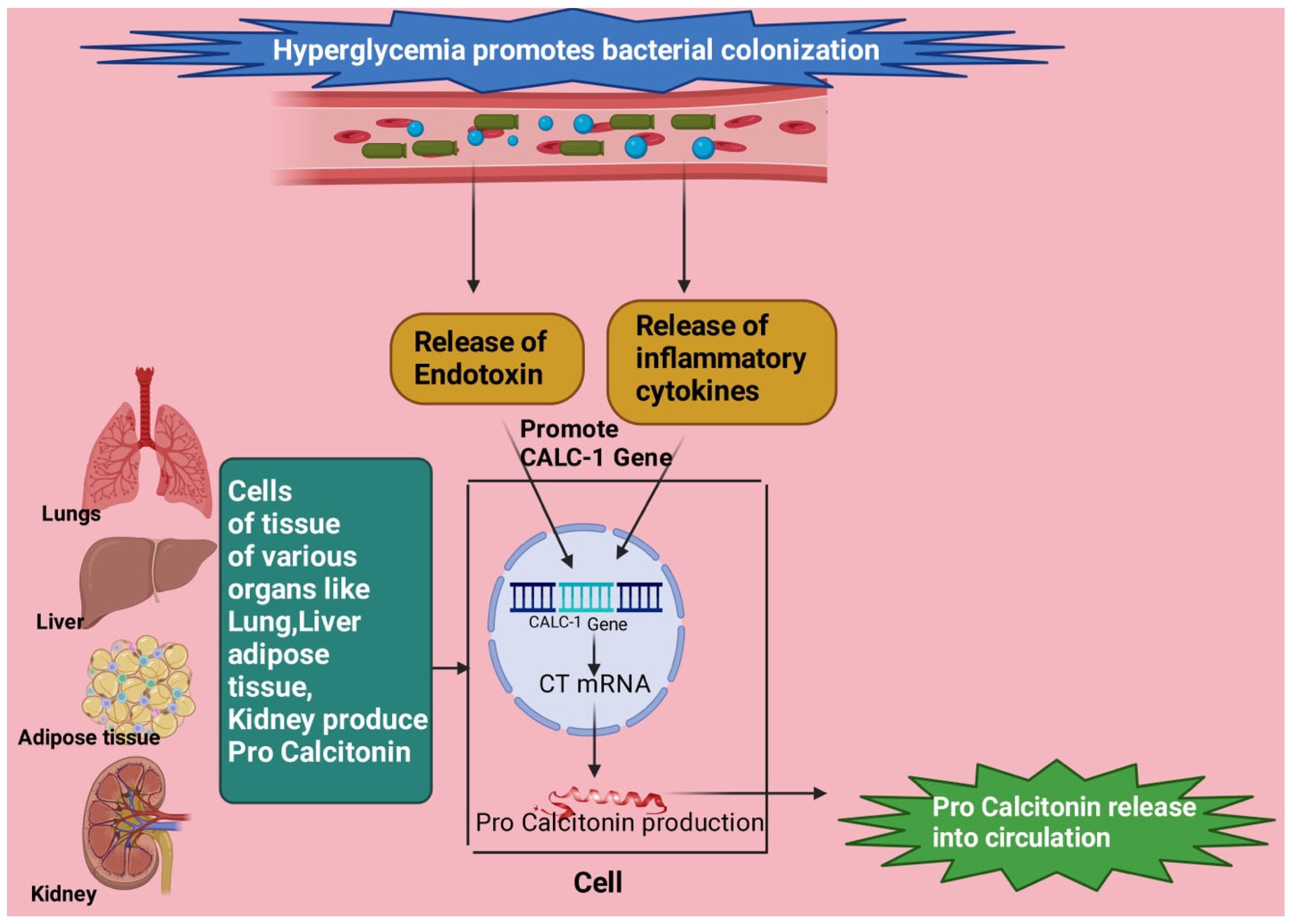 Diagnostics 13 02441 g003