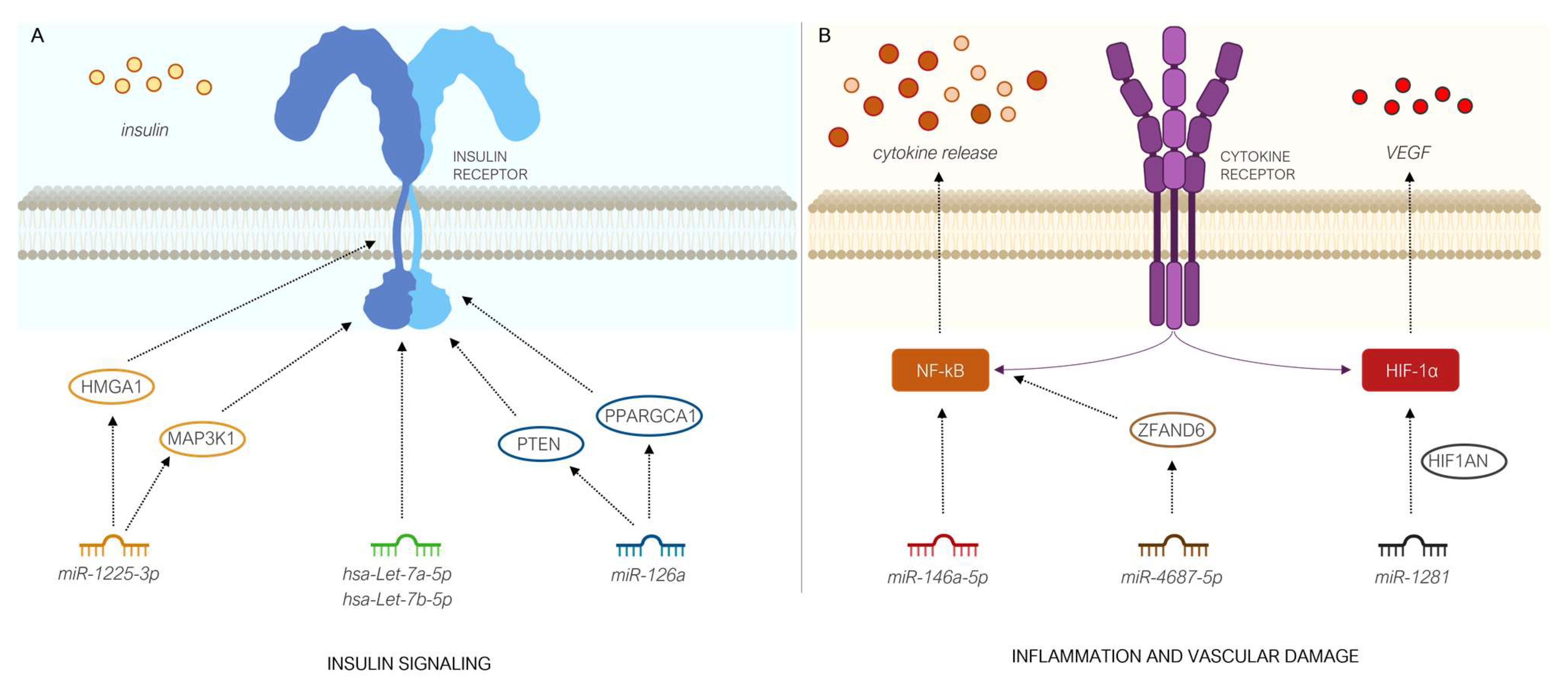 Diagnostics 13 02443 g004