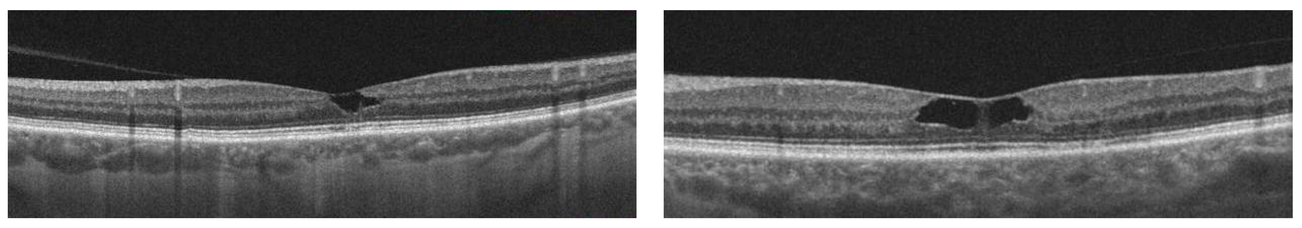 Diagnostics 13 02444 g002