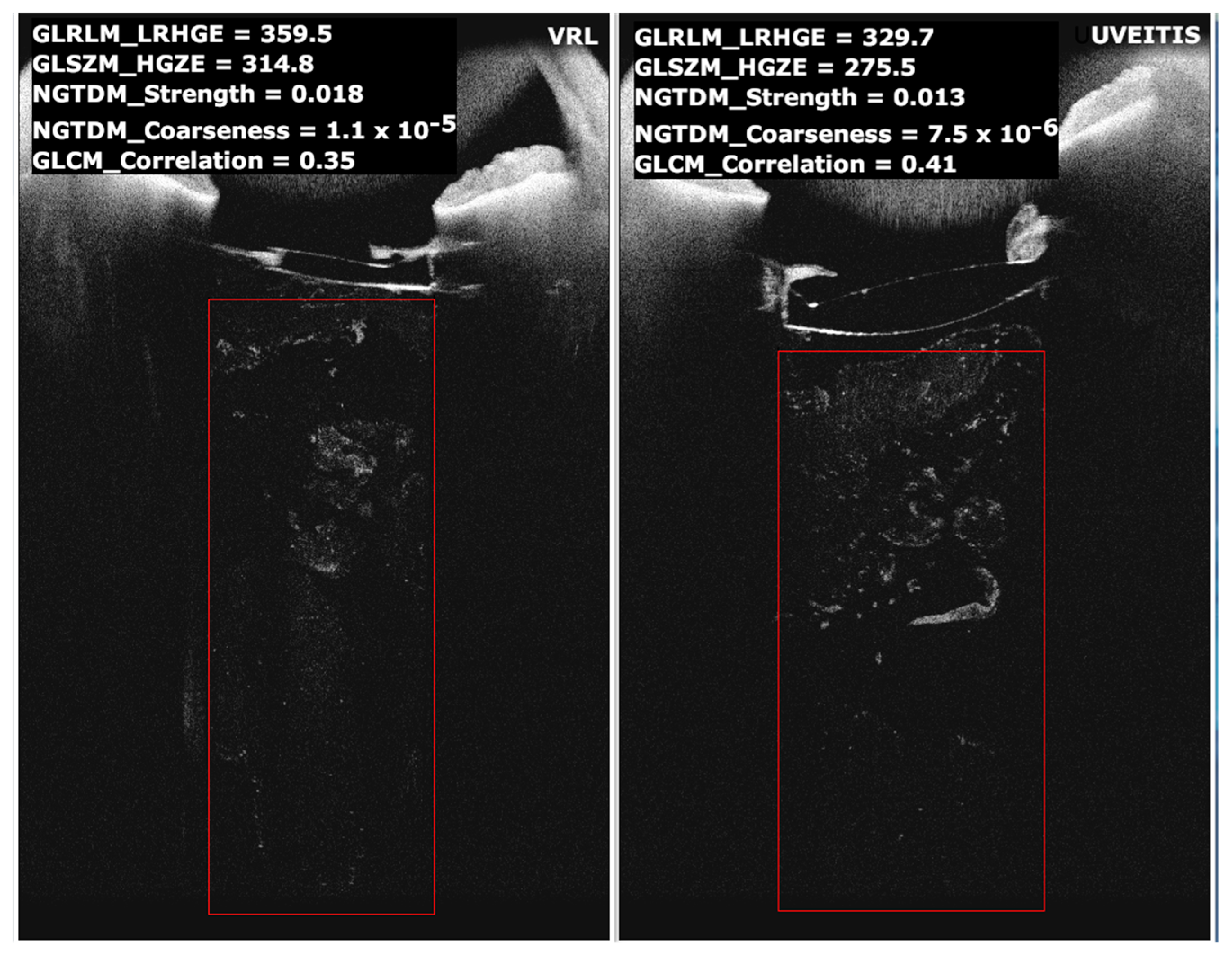 Diagnostics 13 02451 g001