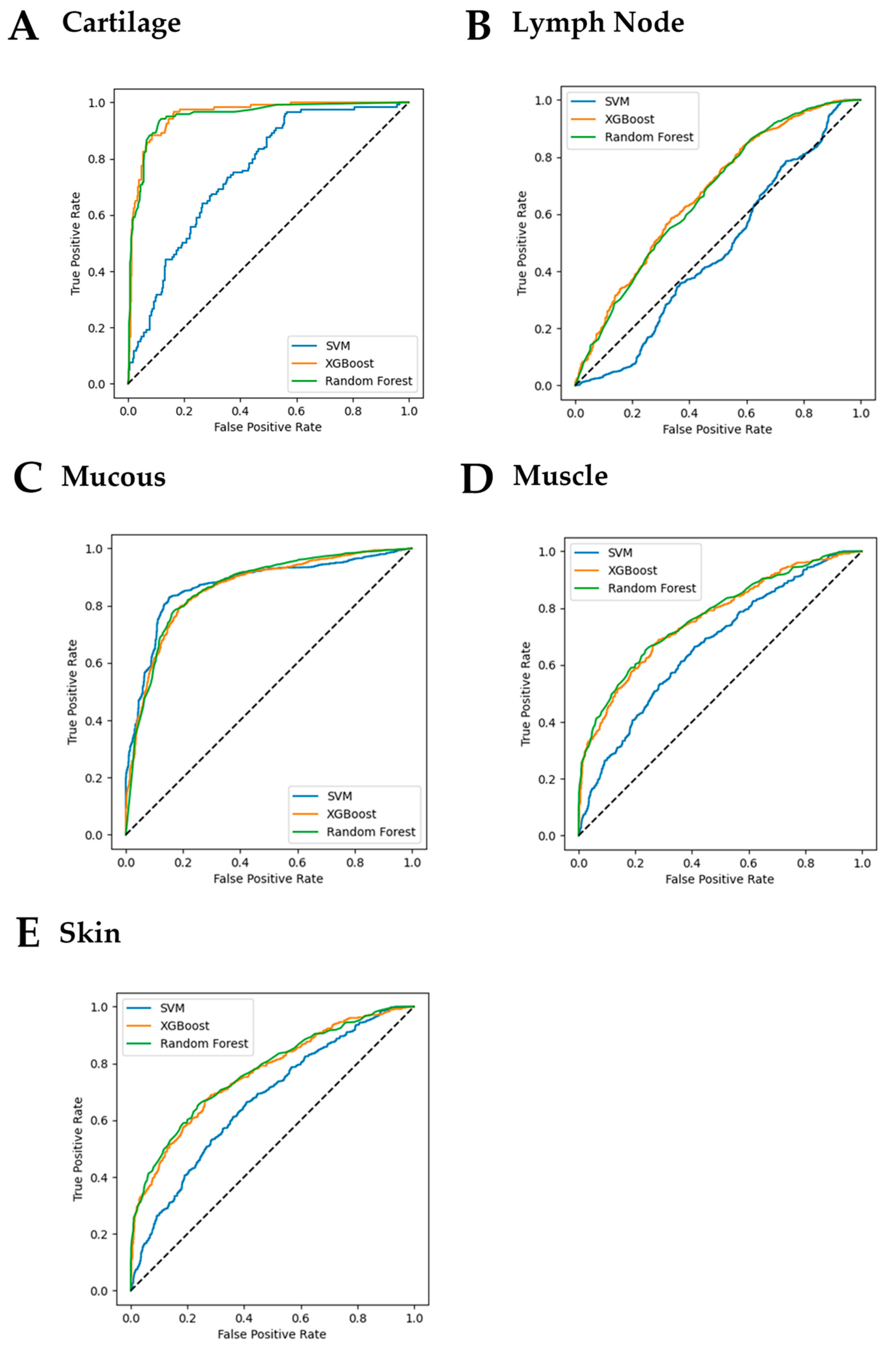Diagnostics 13 02453 g002