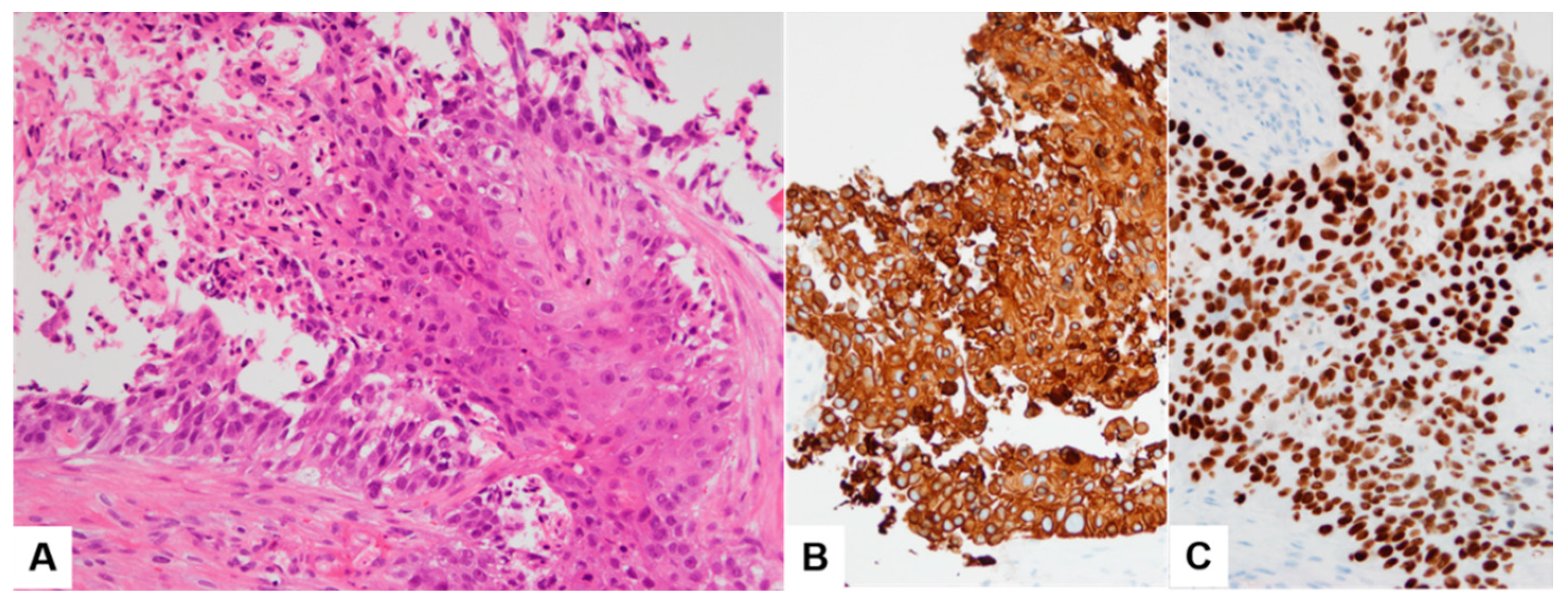 Diagnostics 13 02455 g003