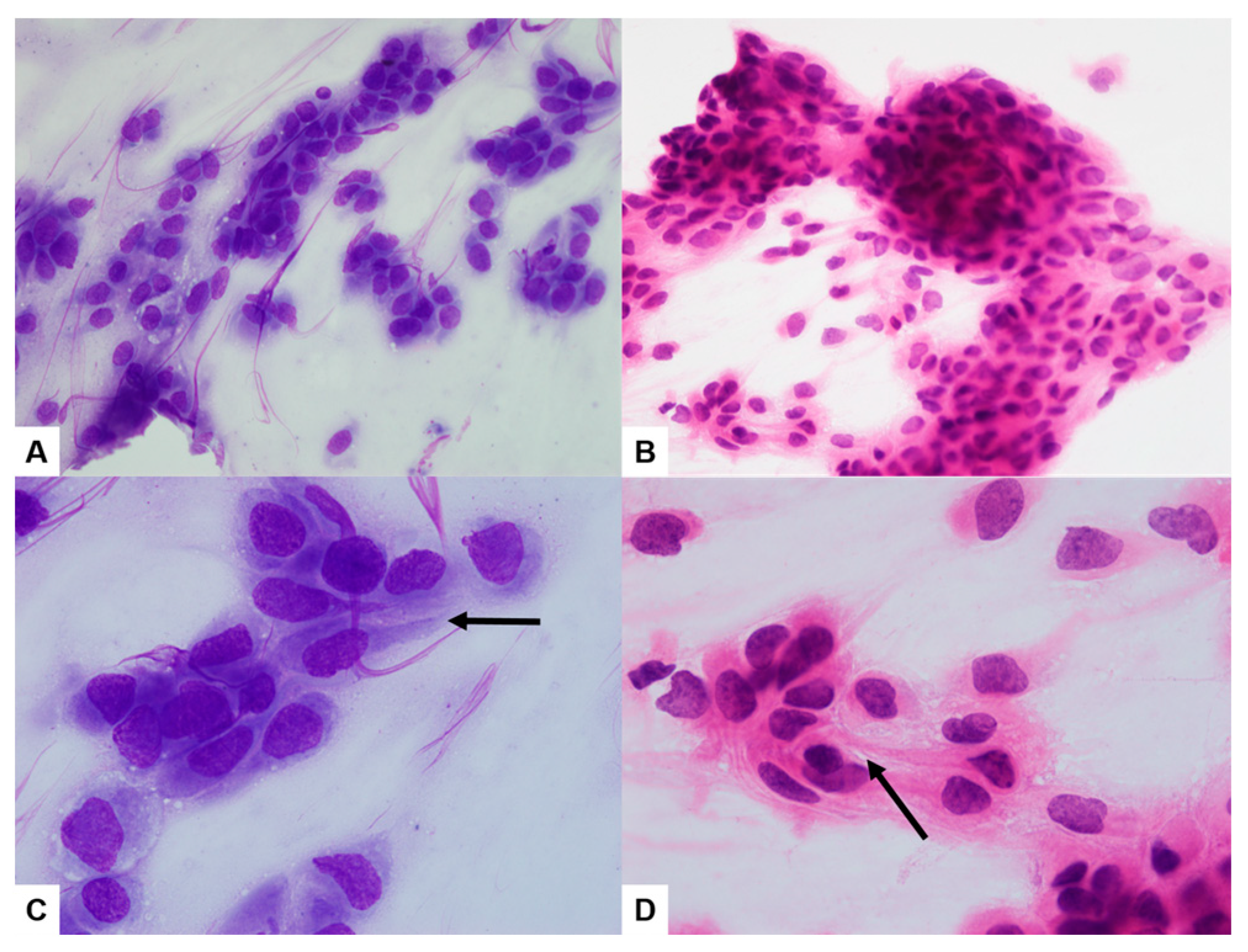 Diagnostics 13 02455 g004