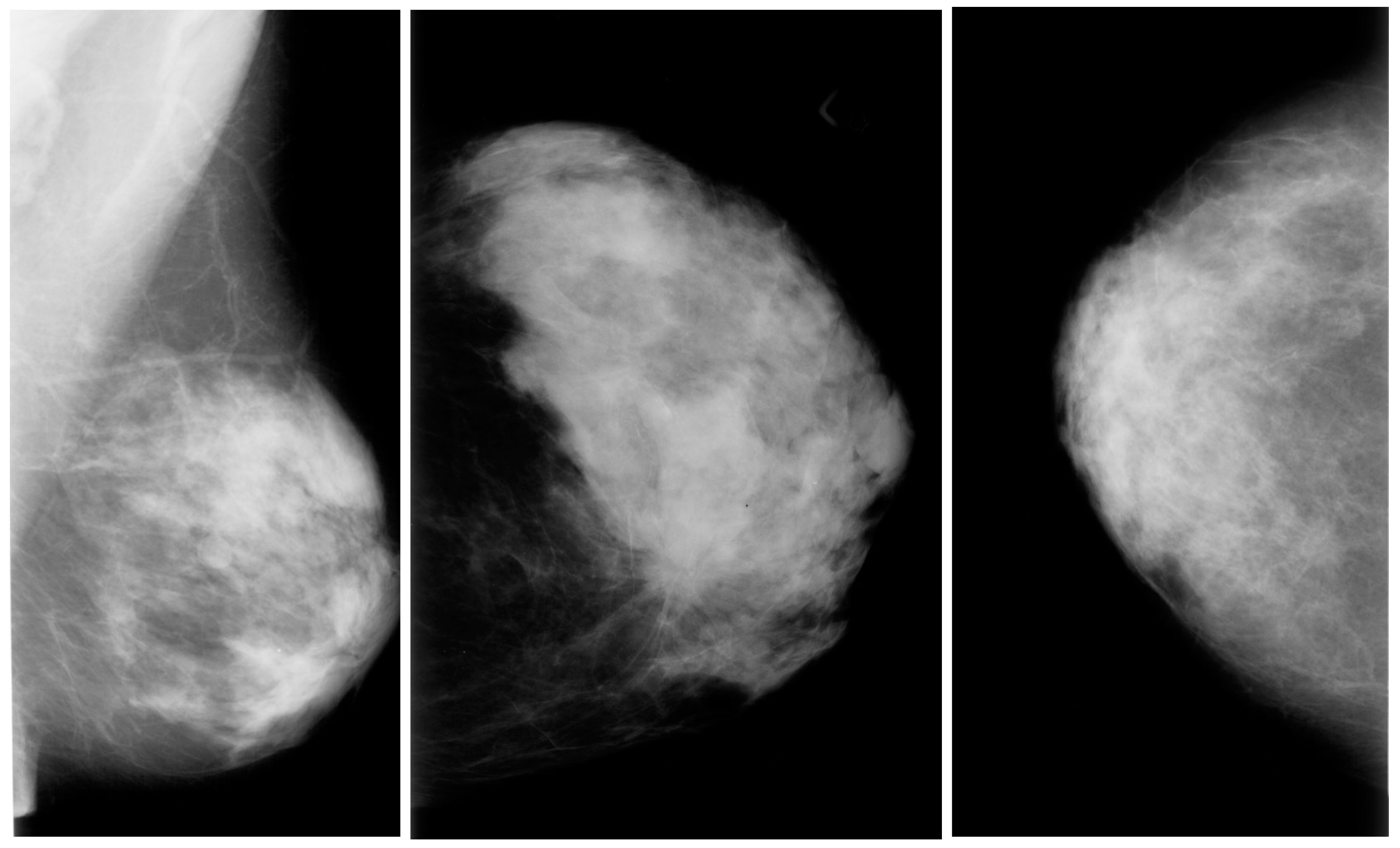 Diagnostics 13 02460 g003