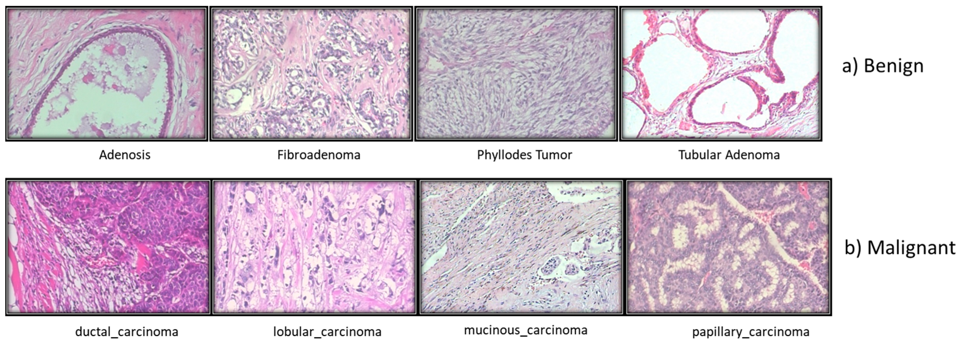 Diagnostics 13 02460 g005