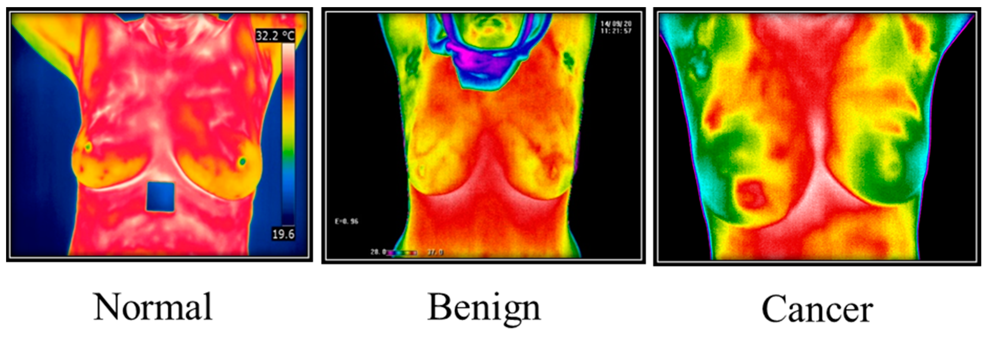 Diagnostics 13 02460 g006