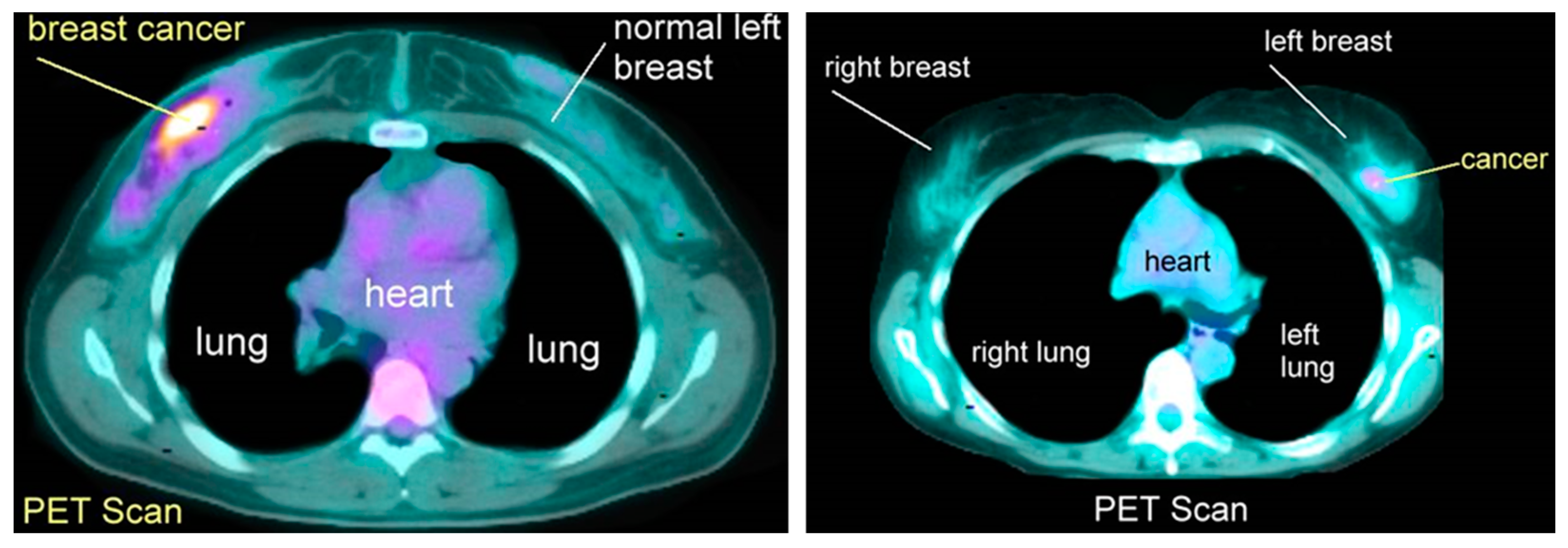 Diagnostics 13 02460 g007