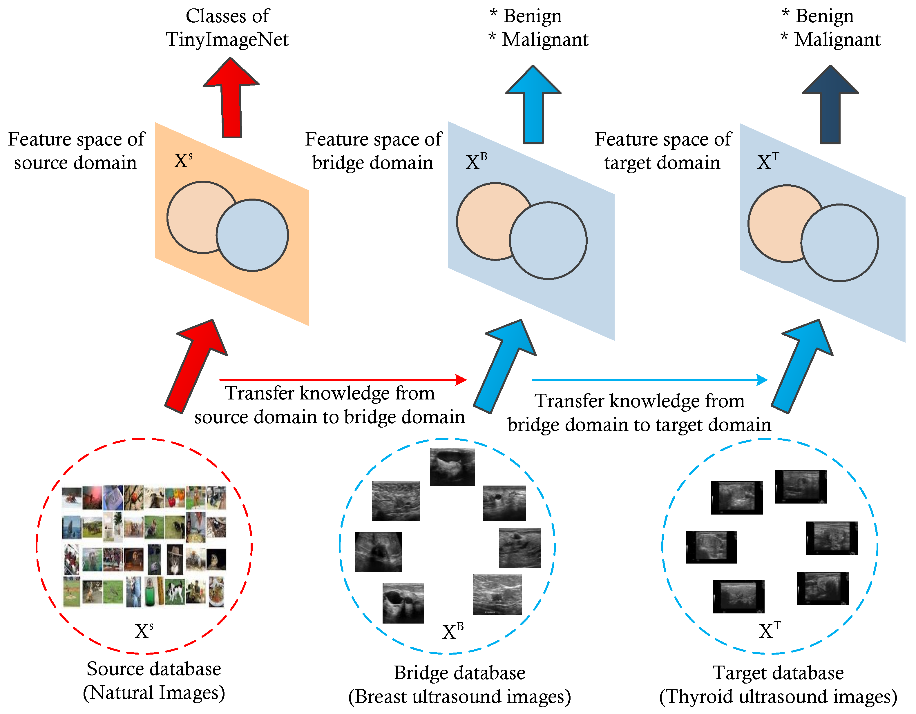 Diagnostics 13 02463 g009