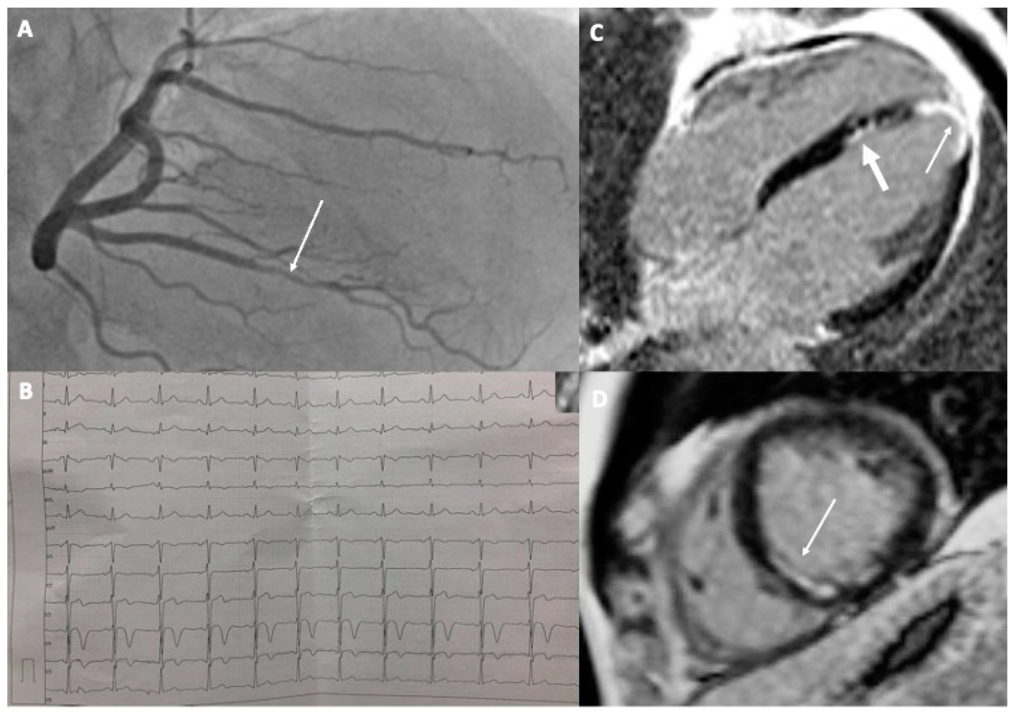 Diagnostics 13 02473 g001