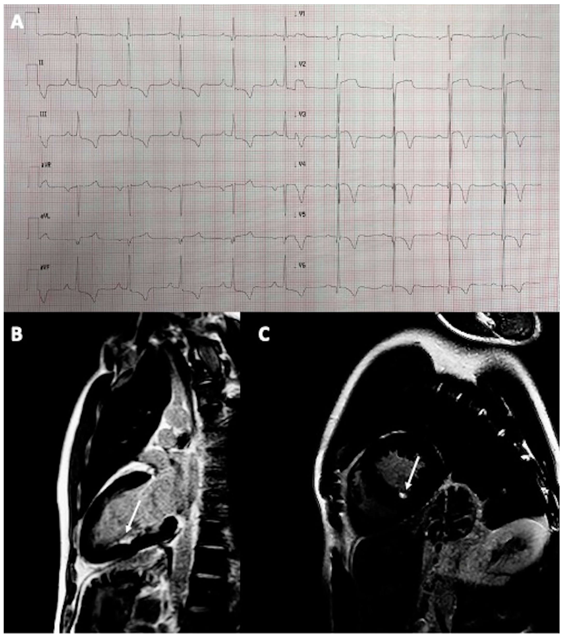 Diagnostics 13 02473 g002