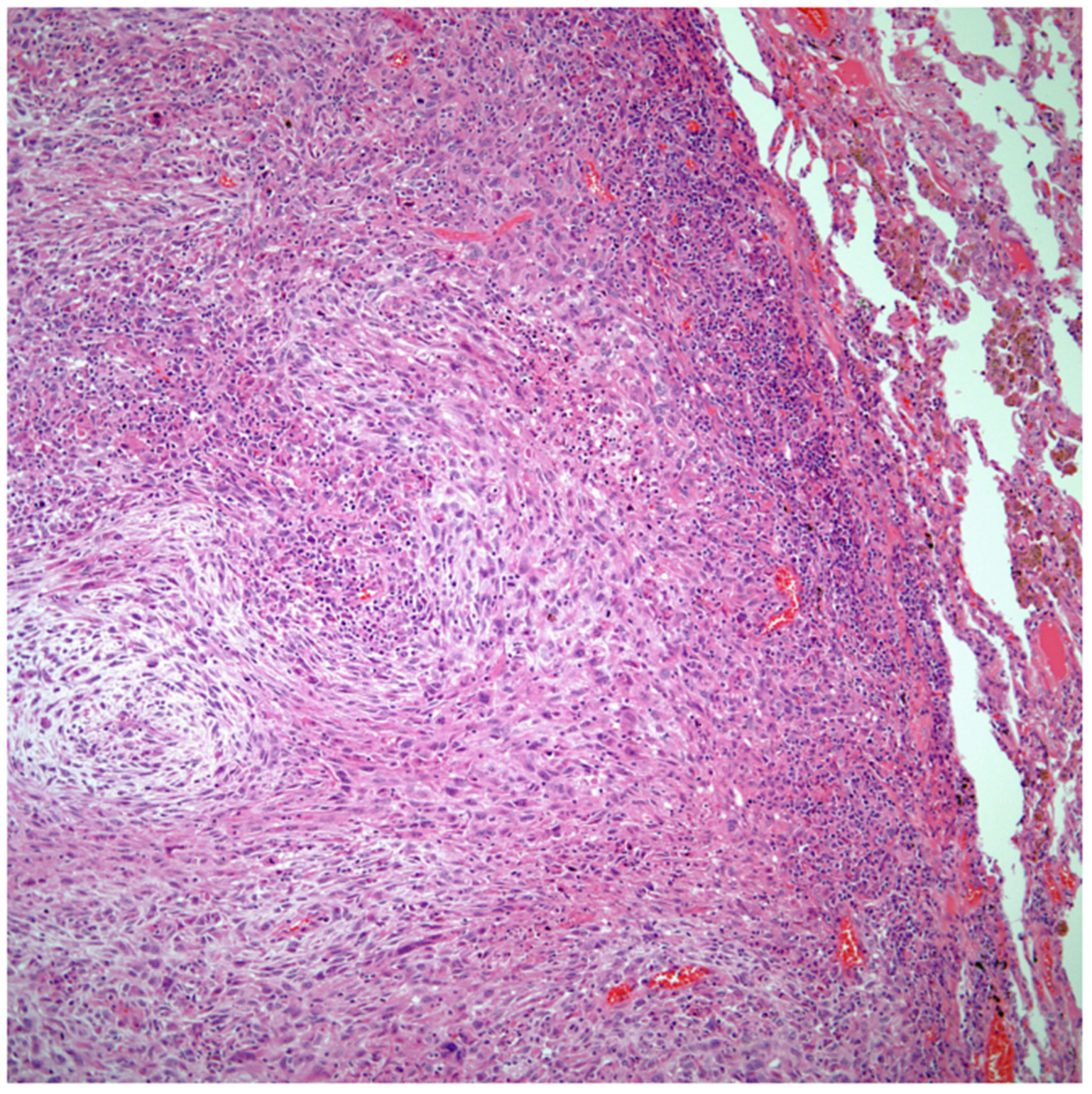 Diagnostics 13 02477 g001